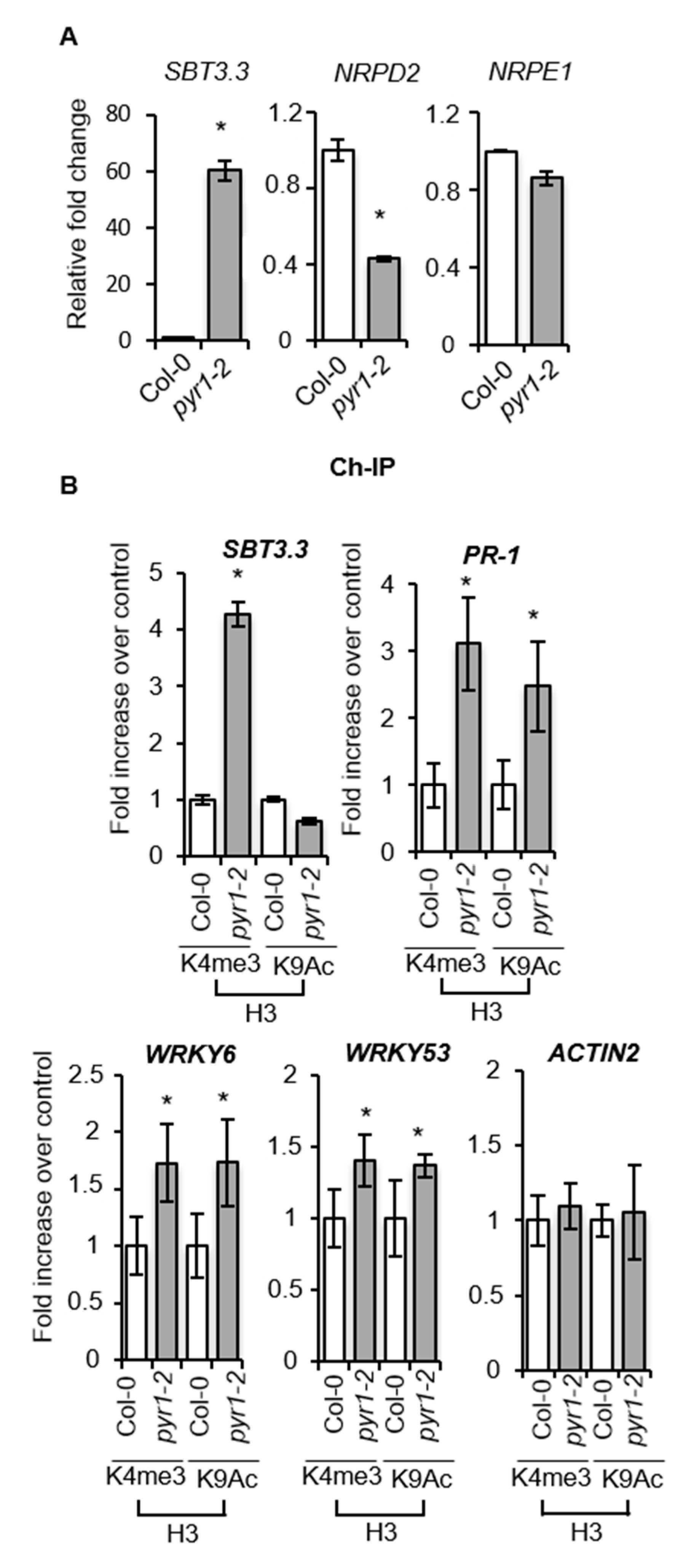 Ijms 21 05852 g007 Ijms 21 05852 g007