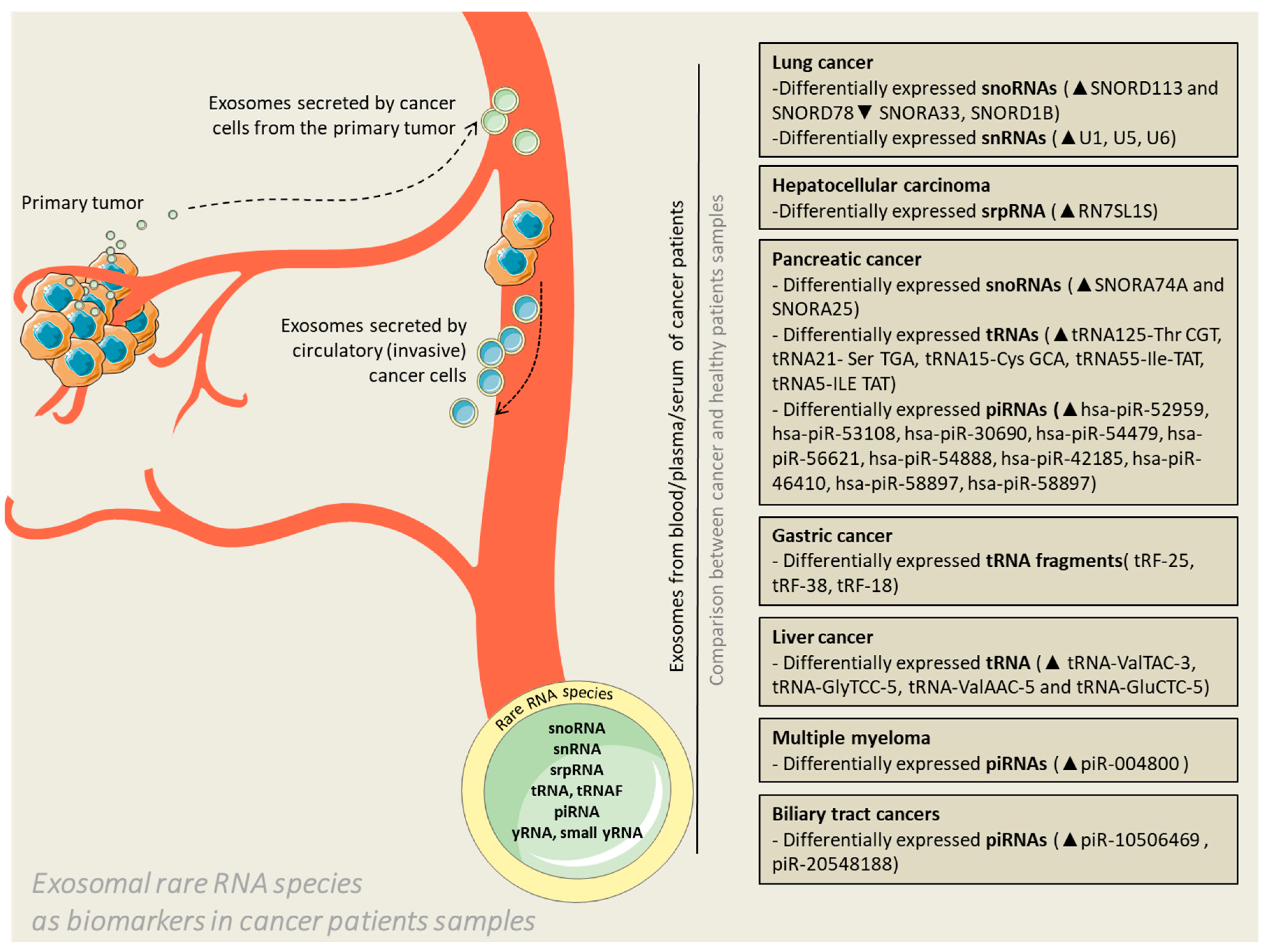 Ijms 21 05866 g001 Ijms 21 05866 g001