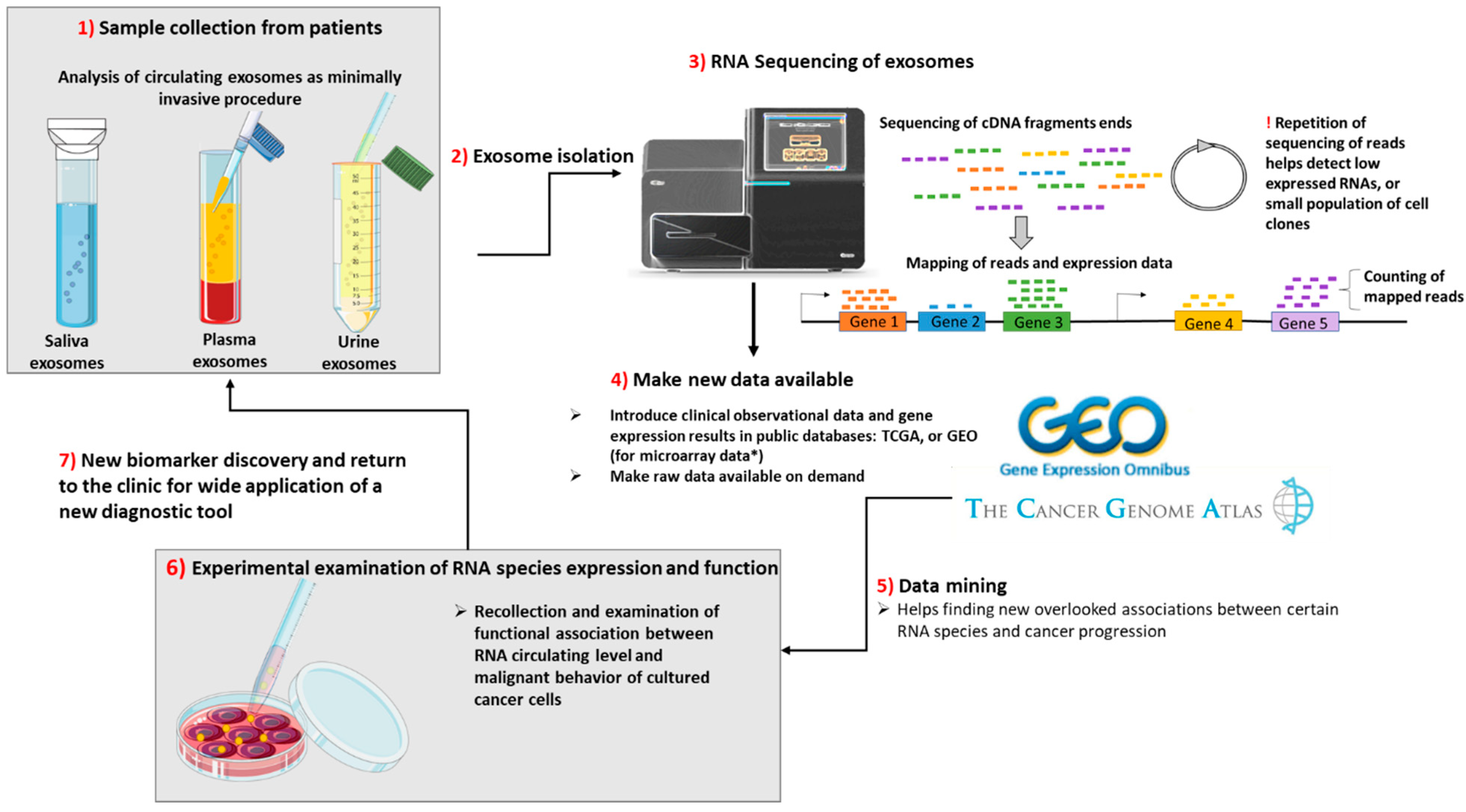 Ijms 21 05866 g002 Ijms 21 05866 g002