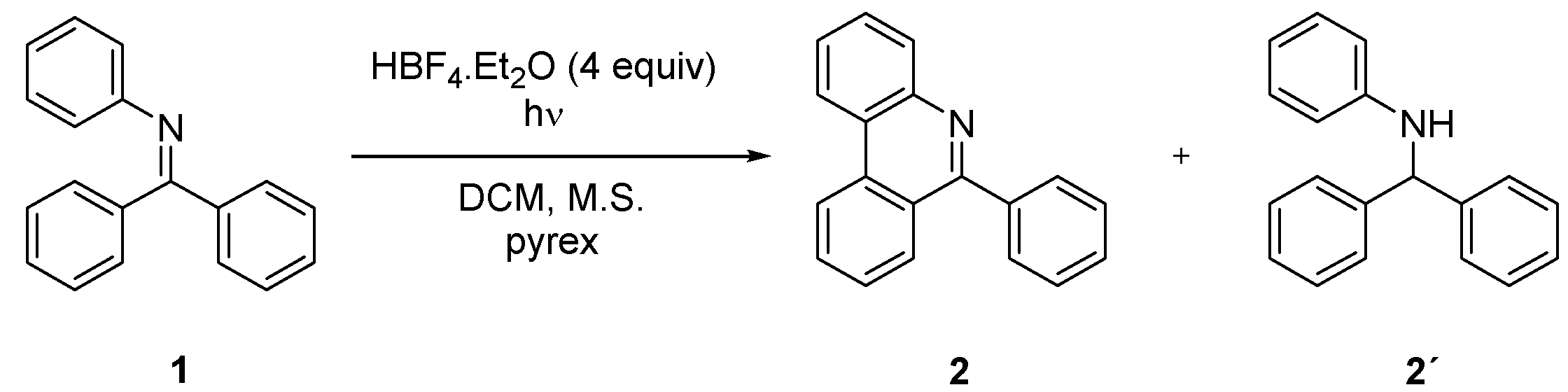 Ijms 21 05868 sch001 Ijms 21 05868 sch001