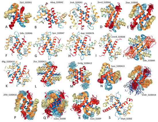 Ijms Free Full Text Zooming Into The Dark Side Of Human Annexin S100 Complexes Dynamic Alliance Of Flexible Partners Html