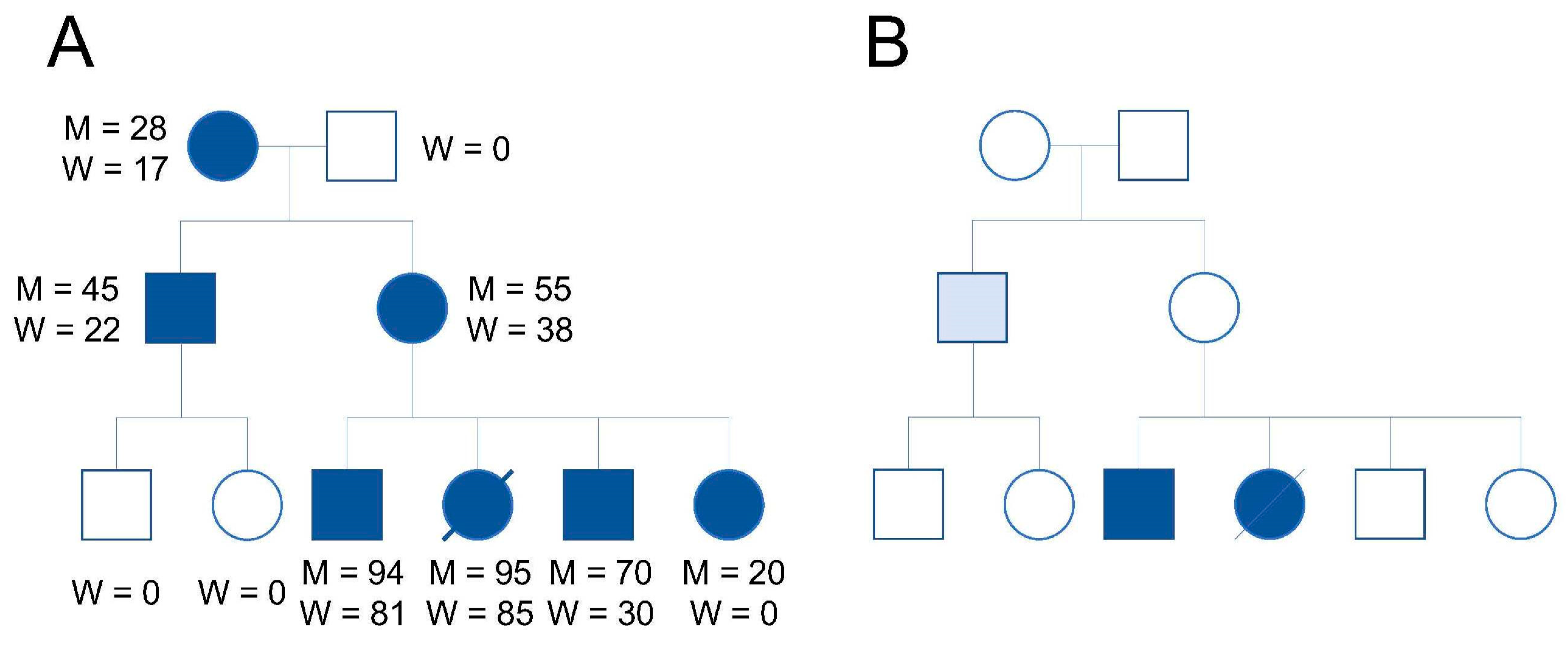 Ijms 21 05880 g001 Ijms 21 05880 g001