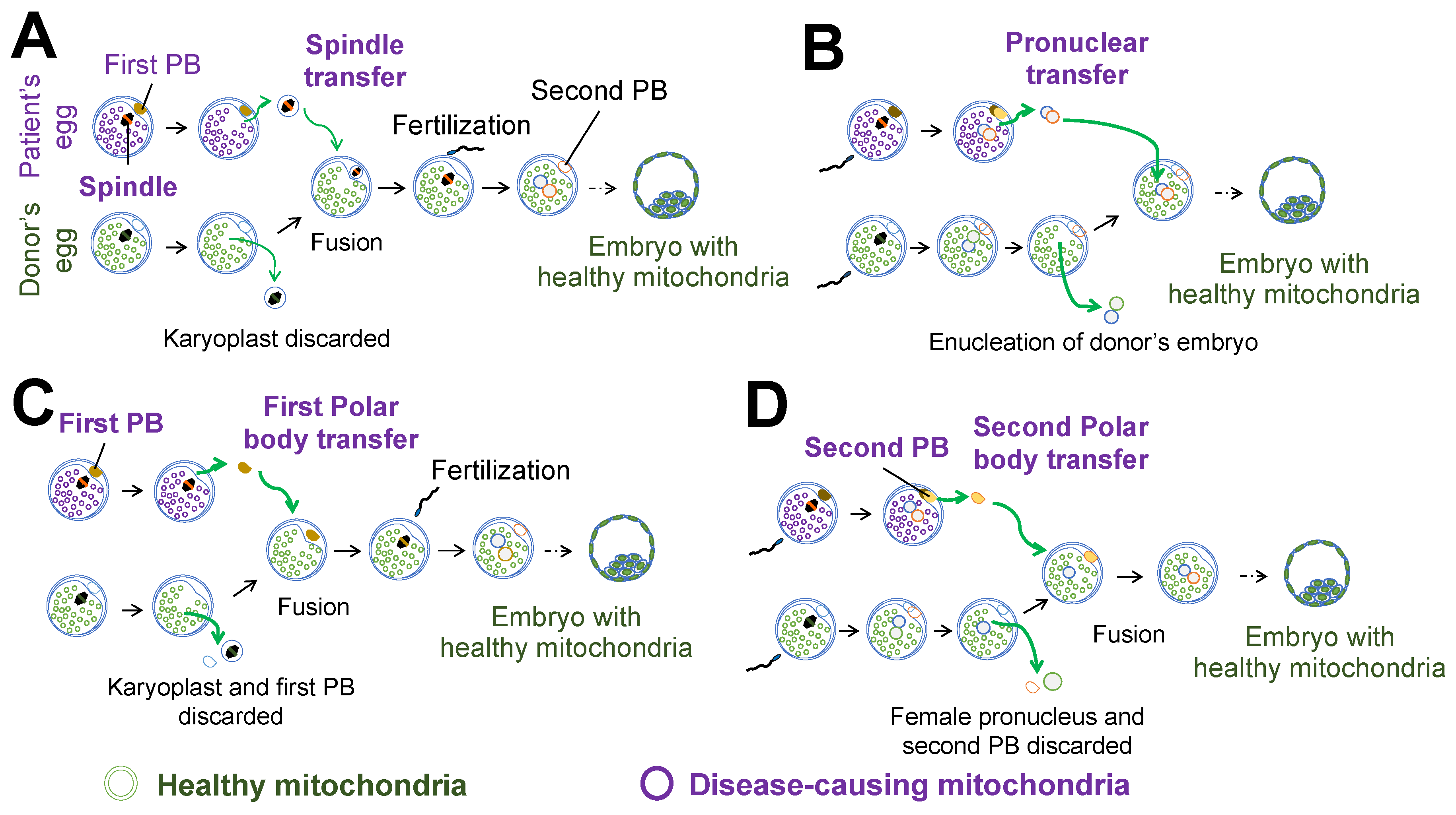 Ijms 21 05880 g002 Ijms 21 05880 g002