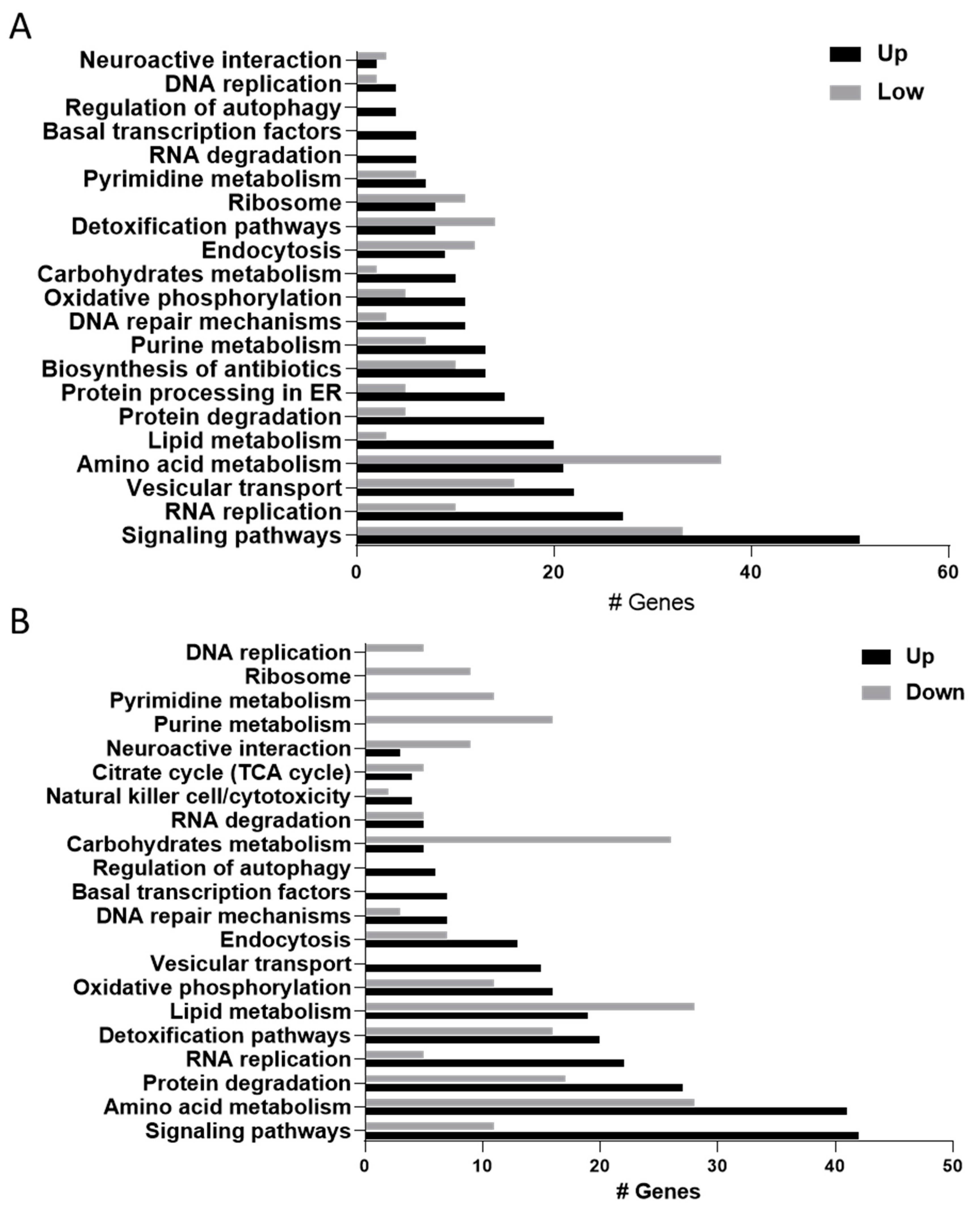 Ijms 21 05889 g003 Ijms 21 05889 g003