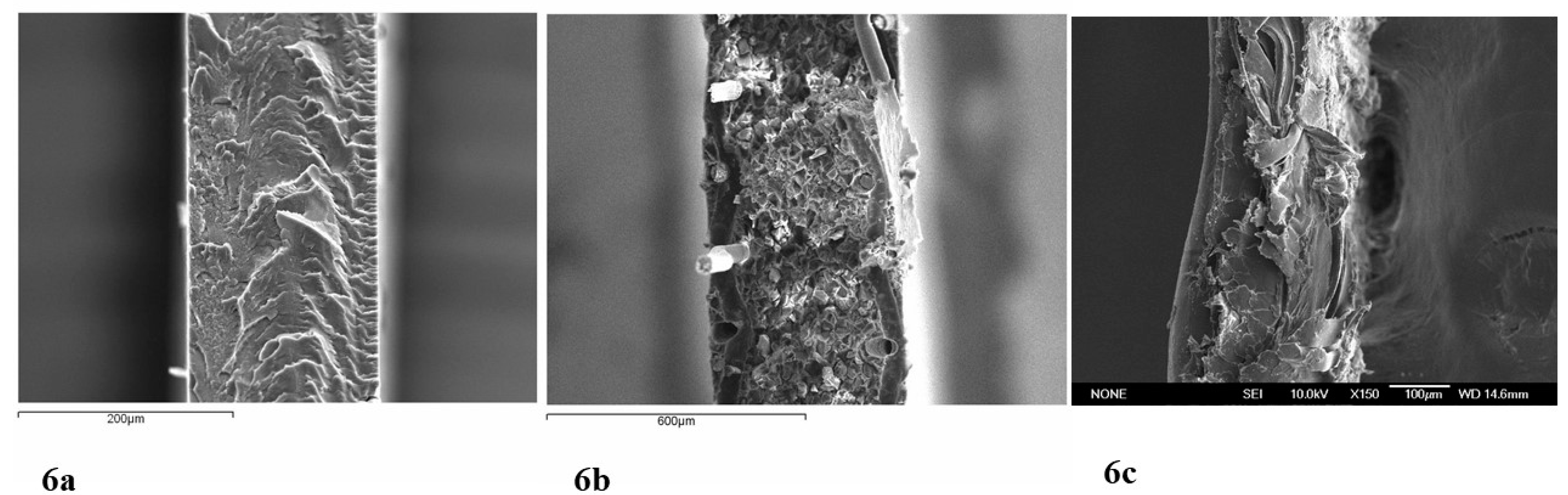 Ijms 21 05897 g006 Ijms 21 05897 g006