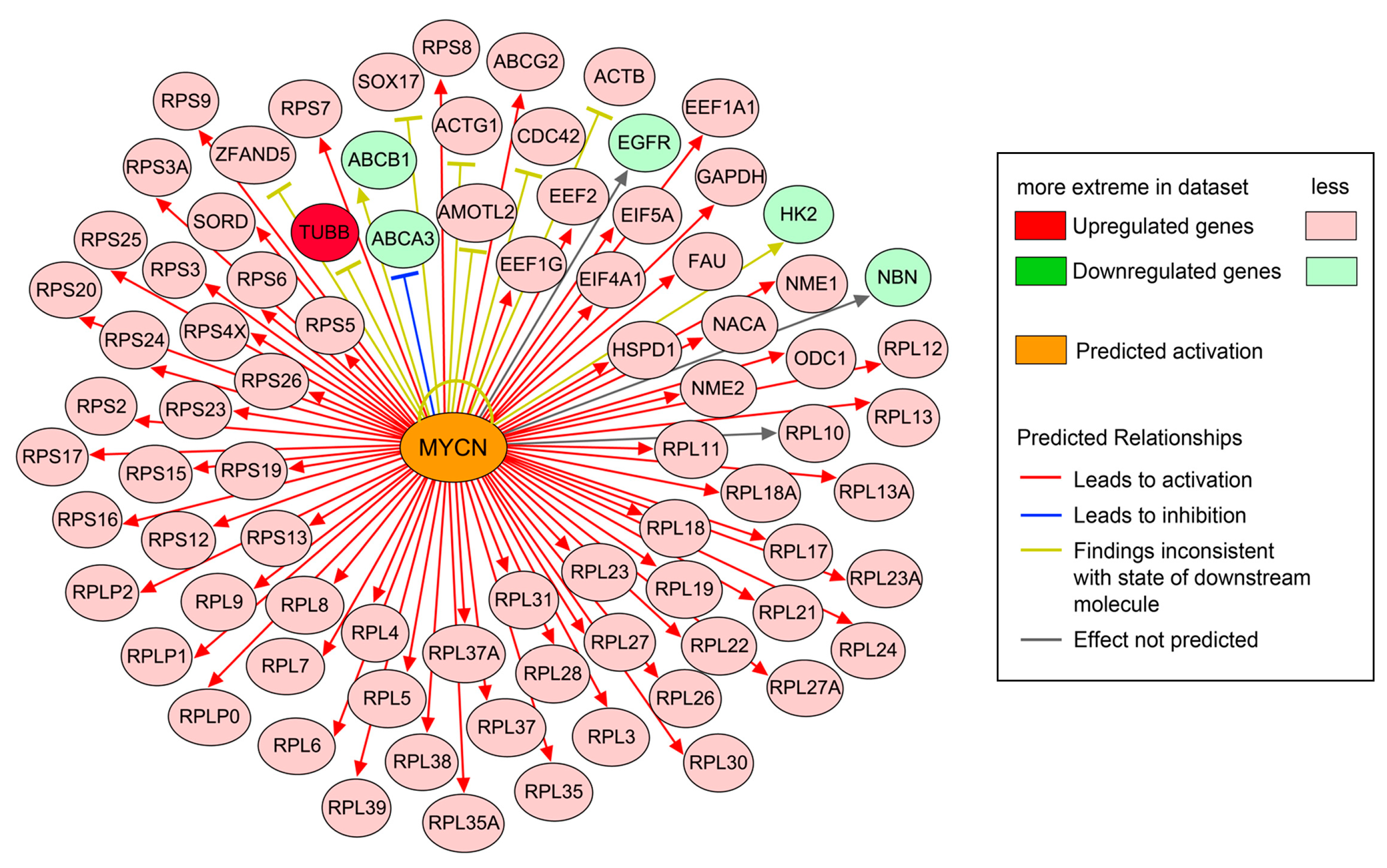 Ijms 21 05910 g007 Ijms 21 05910 g007