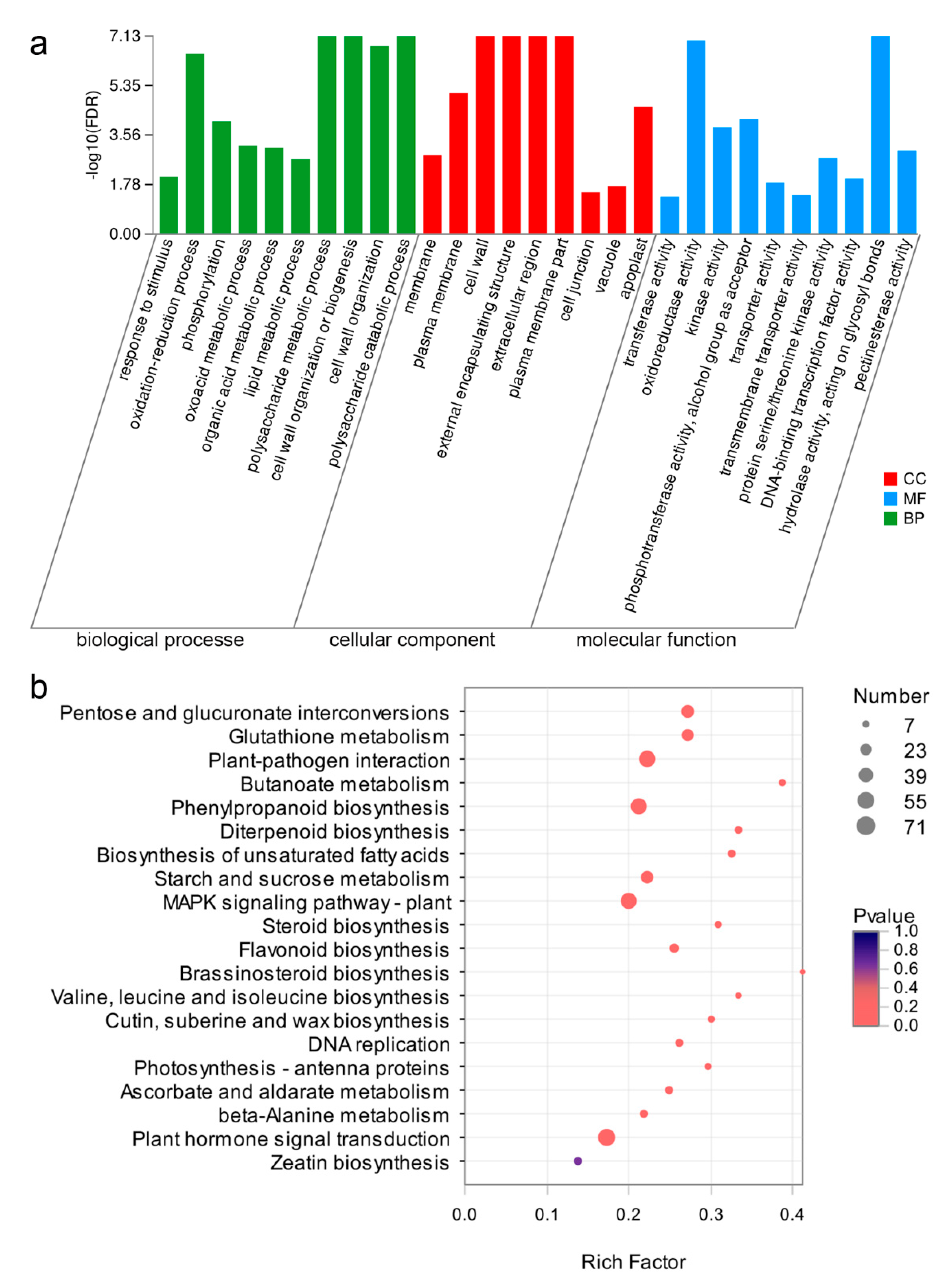 Ijms 21 05914 g003 Ijms 21 05914 g003