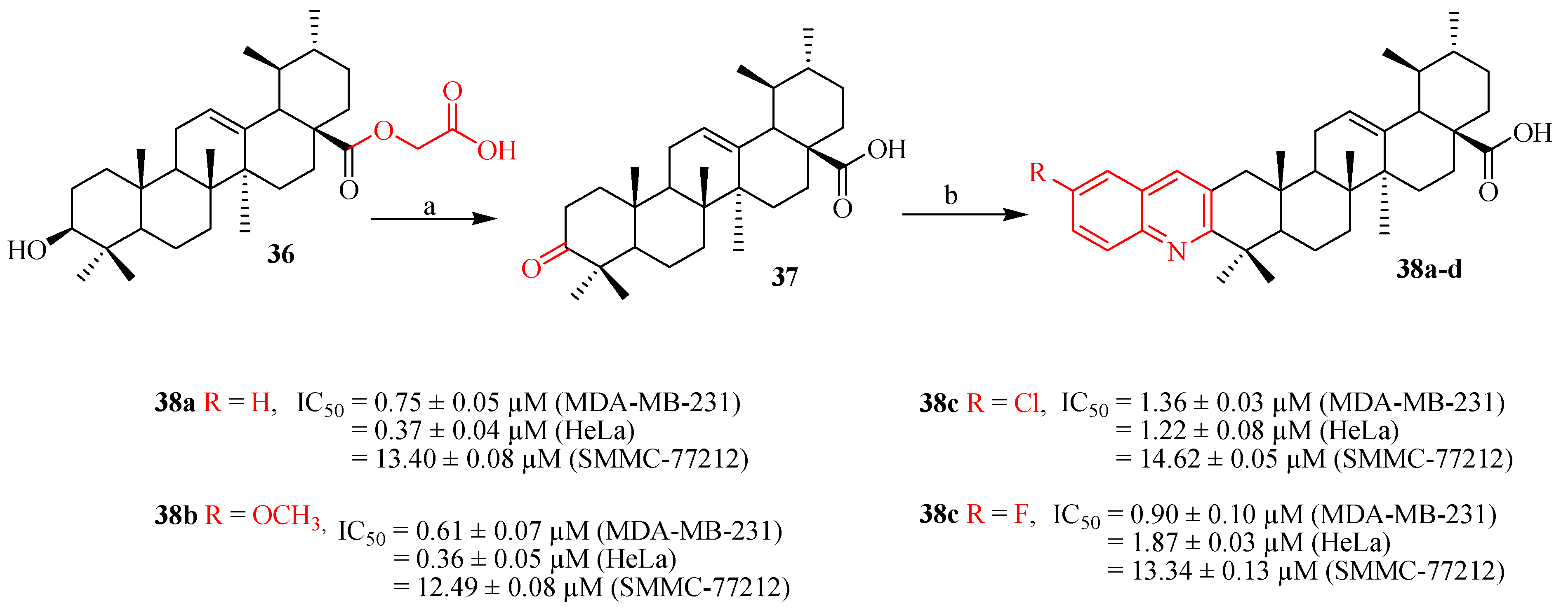 Ijms Free Full Text Ursolic Acid Based Derivatives As Potential Anti Cancer Agents An Update Html