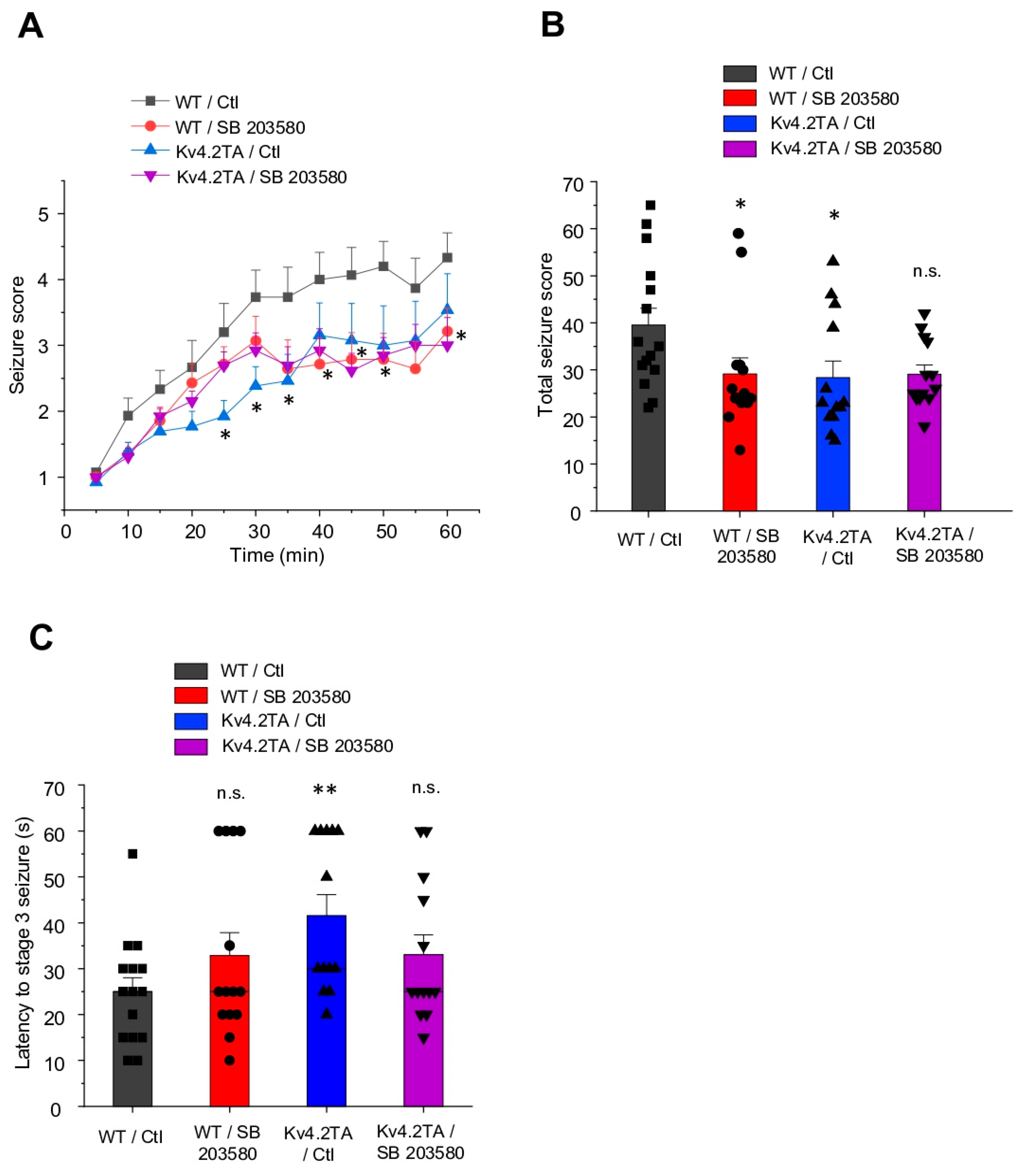 Ijms 21 05921 g001 Ijms 21 05921 g001