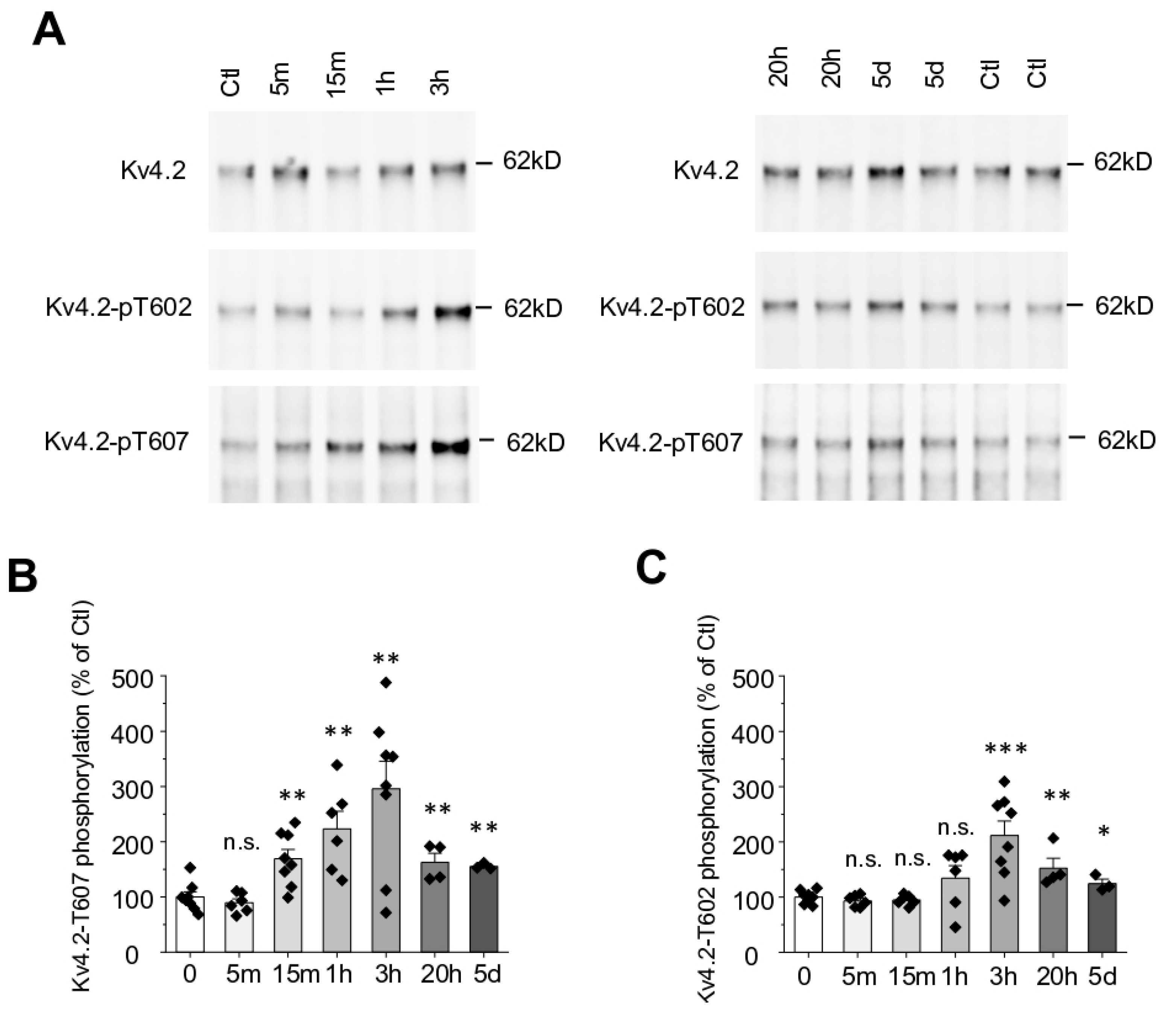 Ijms 21 05921 g002 Ijms 21 05921 g002