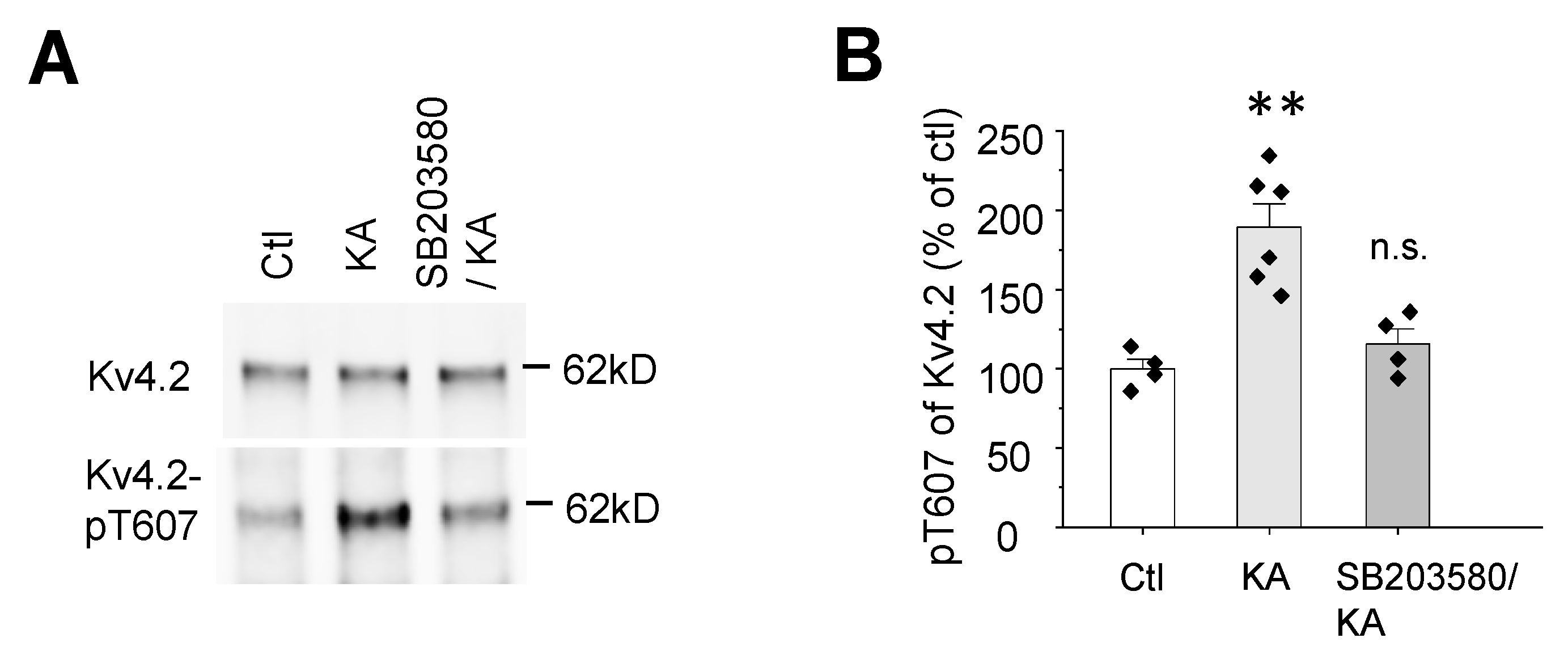 Ijms 21 05921 g003 Ijms 21 05921 g003