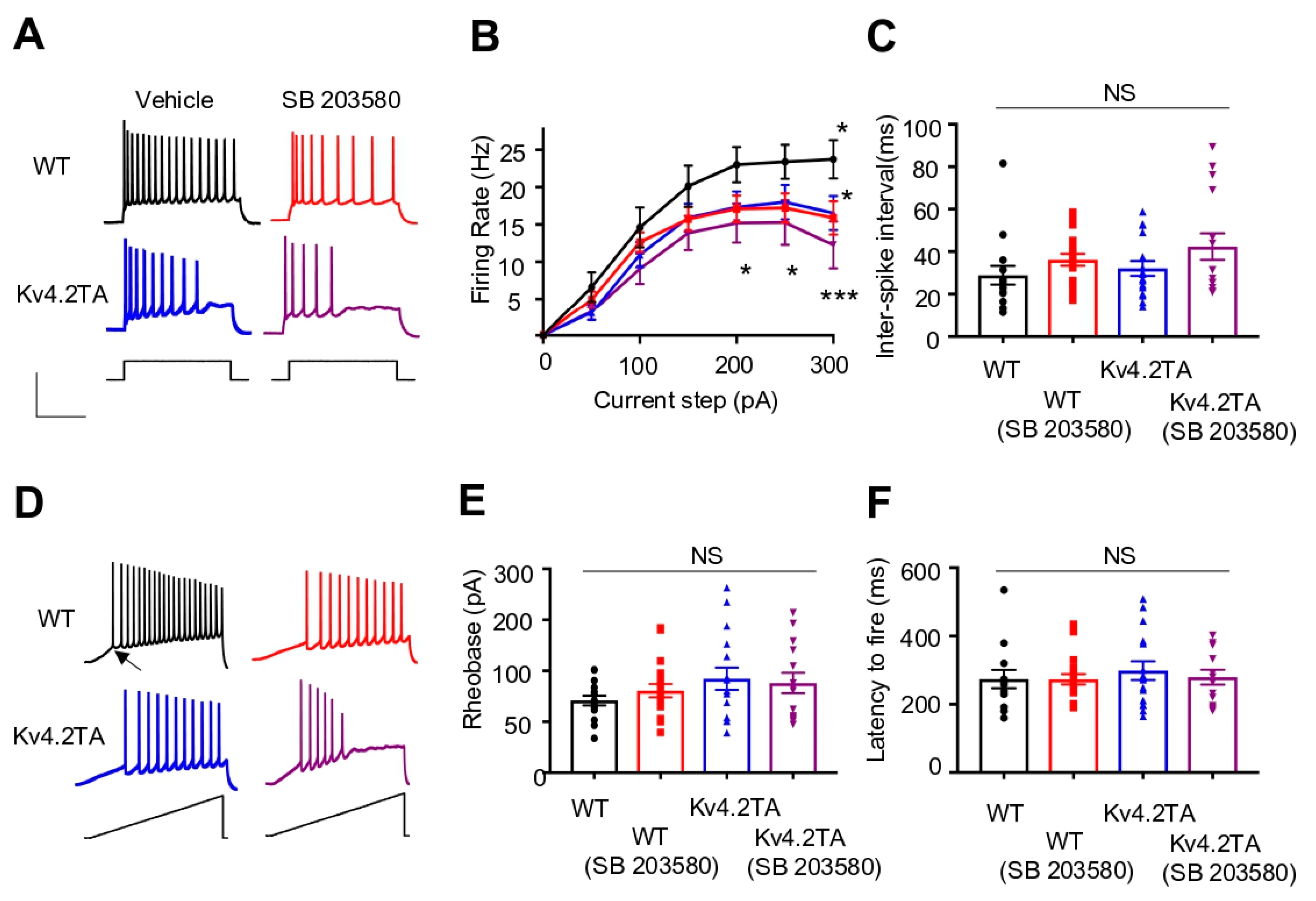 Ijms 21 05921 g006 Ijms 21 05921 g006