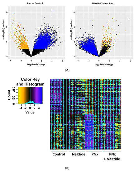 Oxidant-Induced Alterations in the Adipocyte Transcriptome