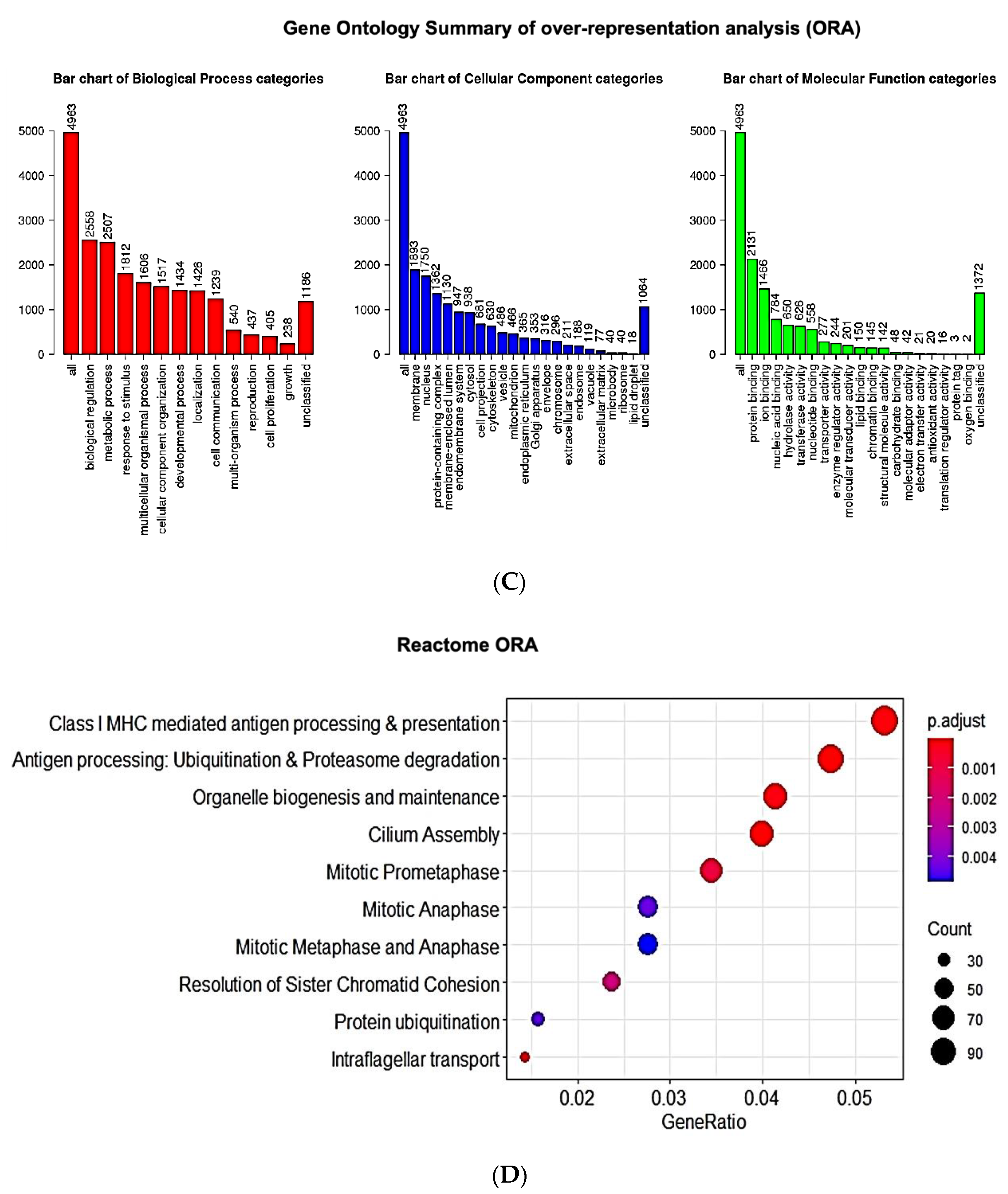 Ijms 21 05923 g001b Ijms 21 05923 g001b