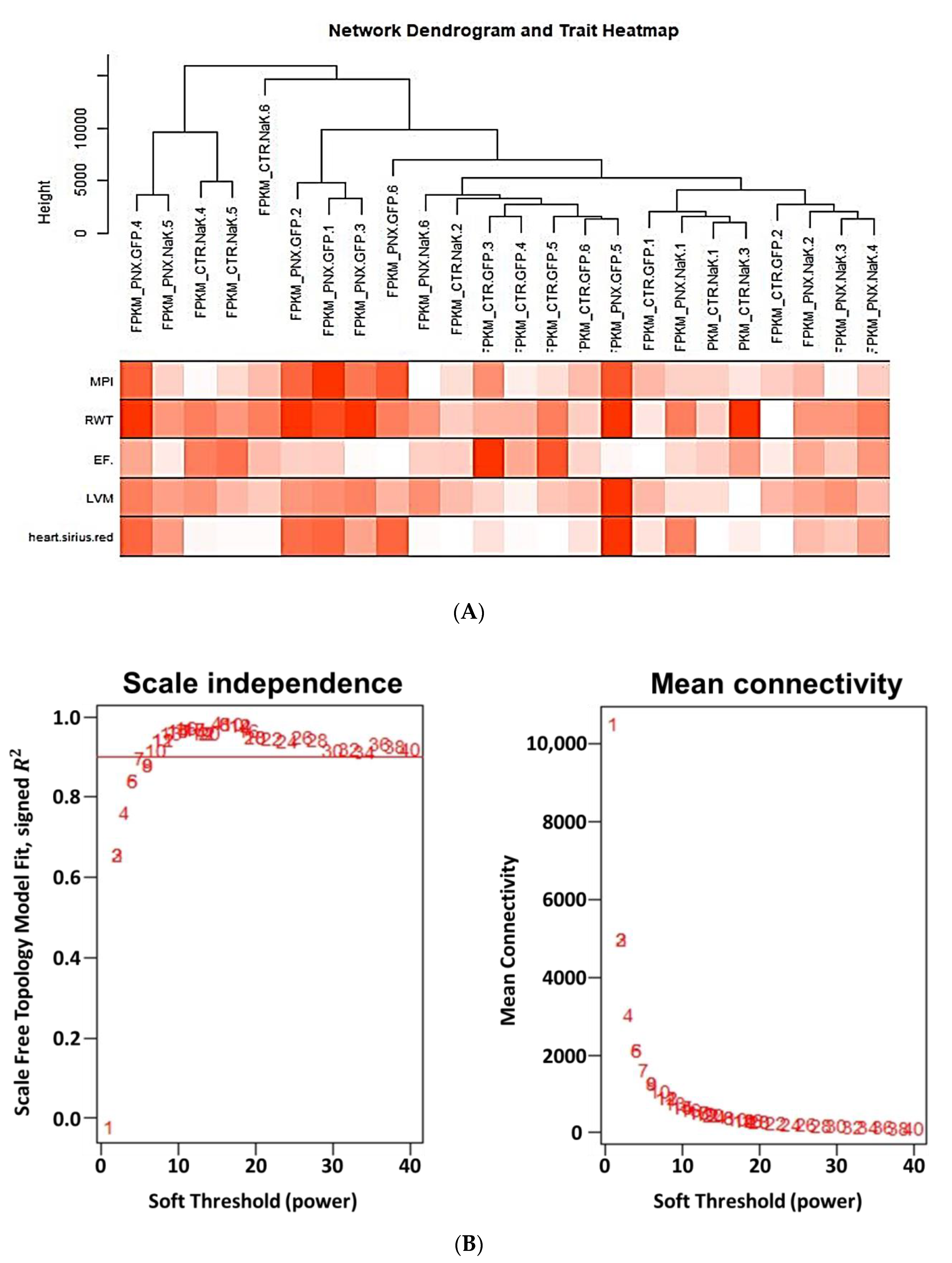 Ijms 21 05923 g002a Ijms 21 05923 g002a