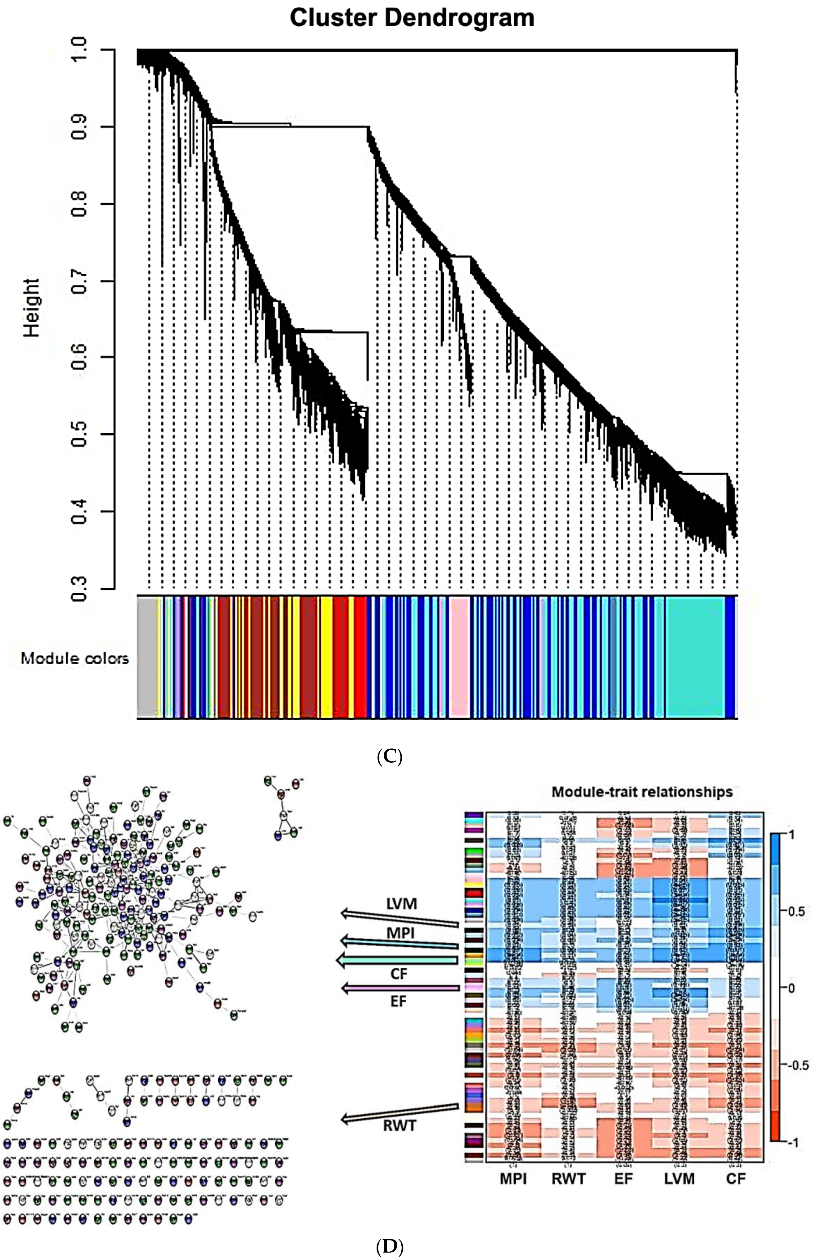 Ijms 21 05923 g002b Ijms 21 05923 g002b