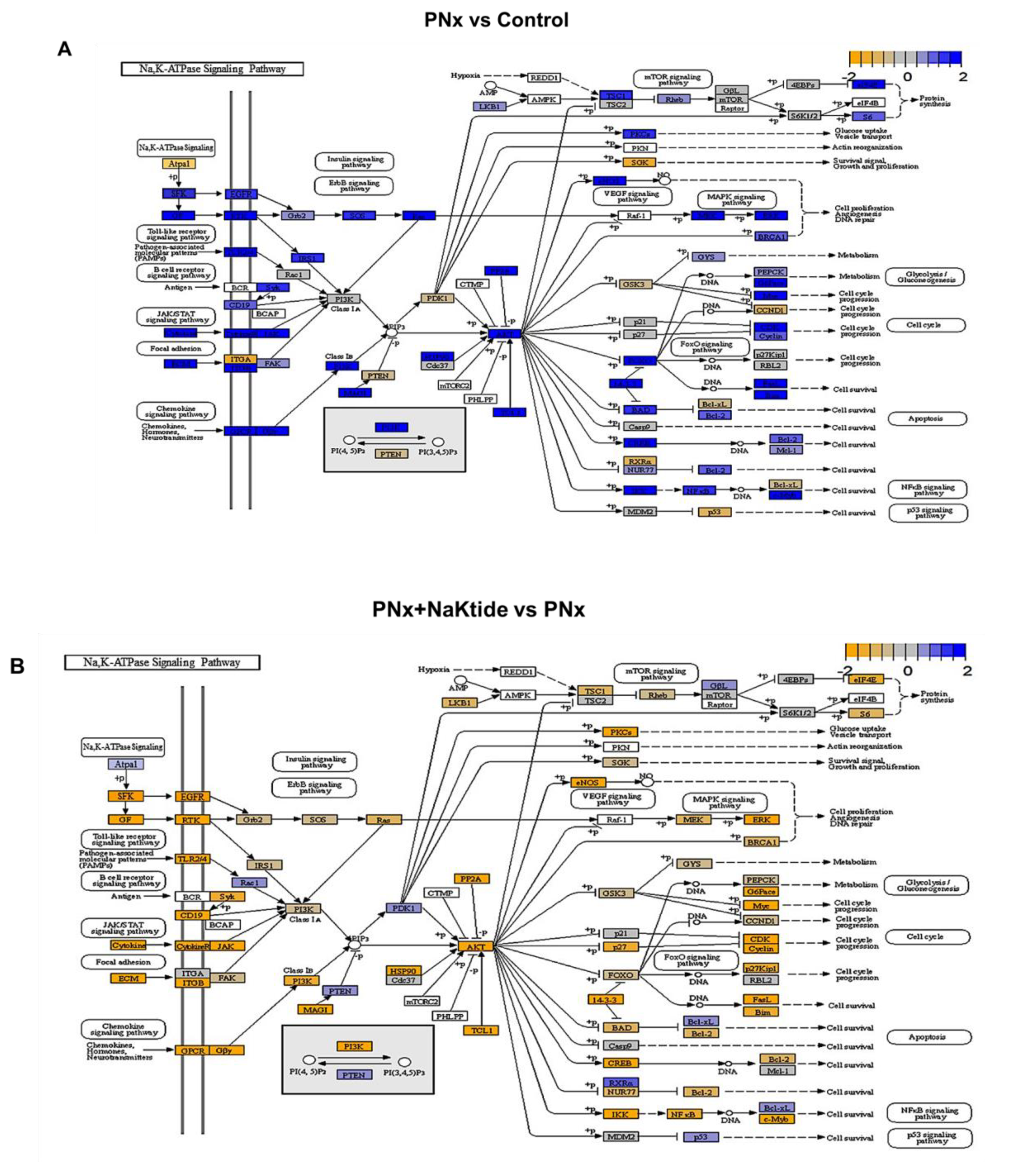 Ijms 21 05923 g003a Ijms 21 05923 g003a