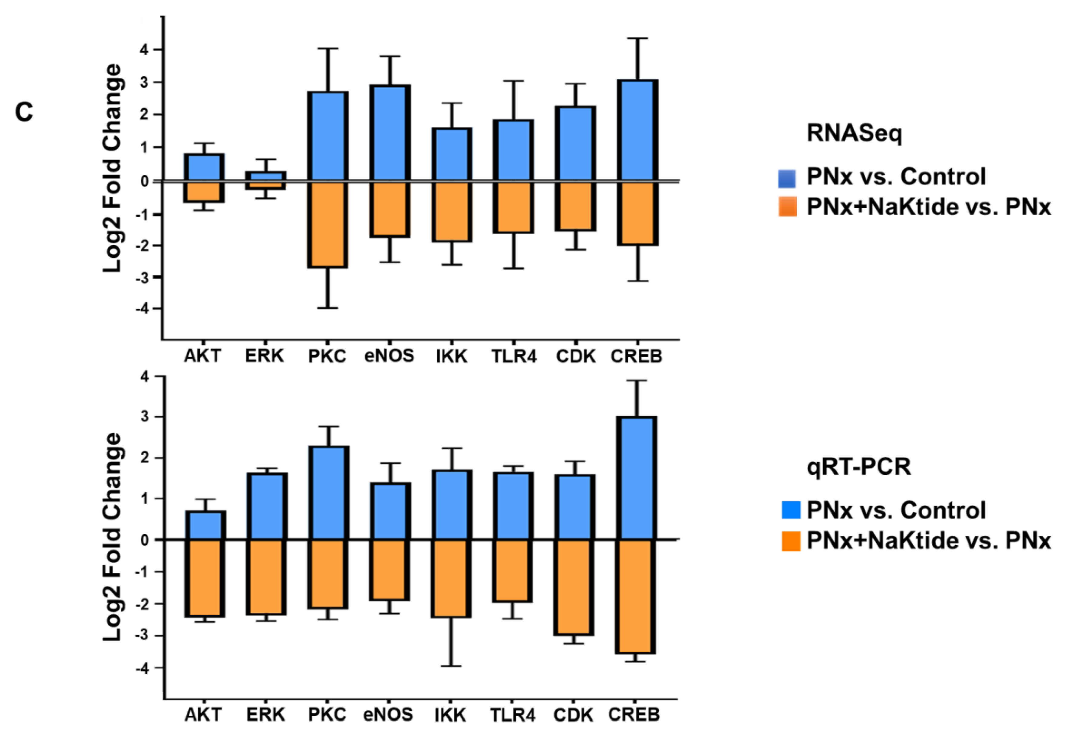 Ijms 21 05923 g003b Ijms 21 05923 g003b