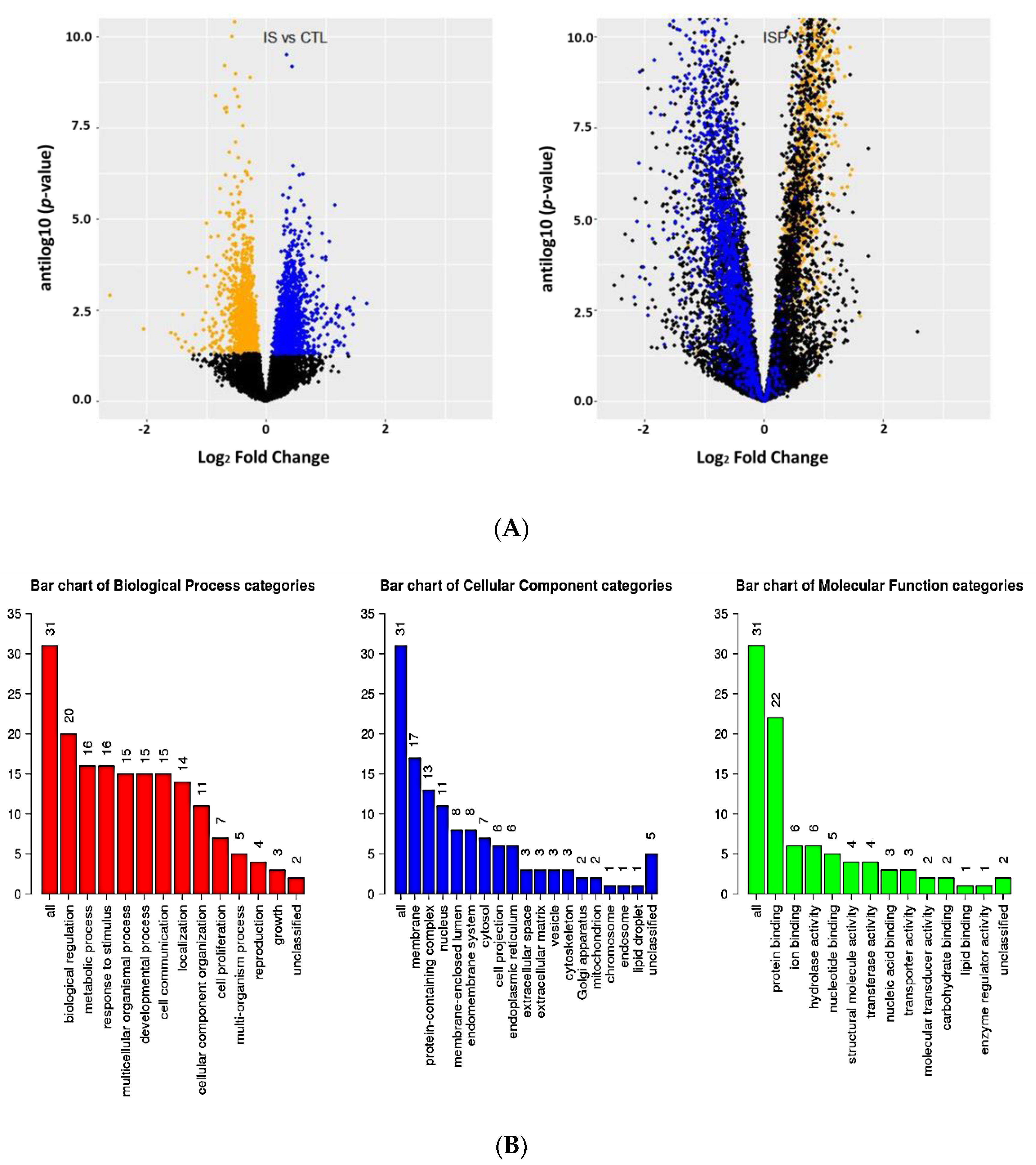 Ijms 21 05923 g005 Ijms 21 05923 g005