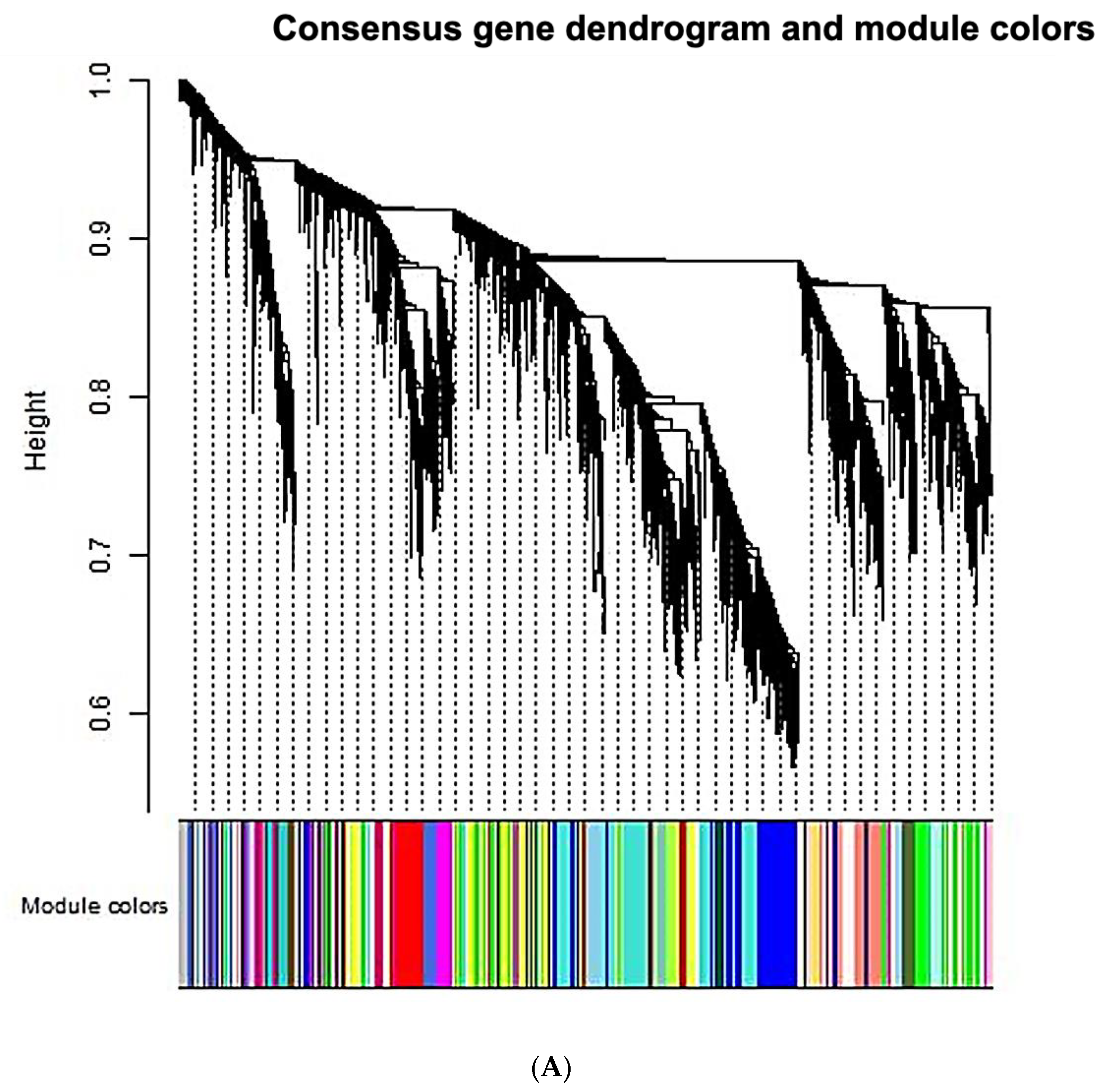 Ijms 21 05923 g008a Ijms 21 05923 g008a