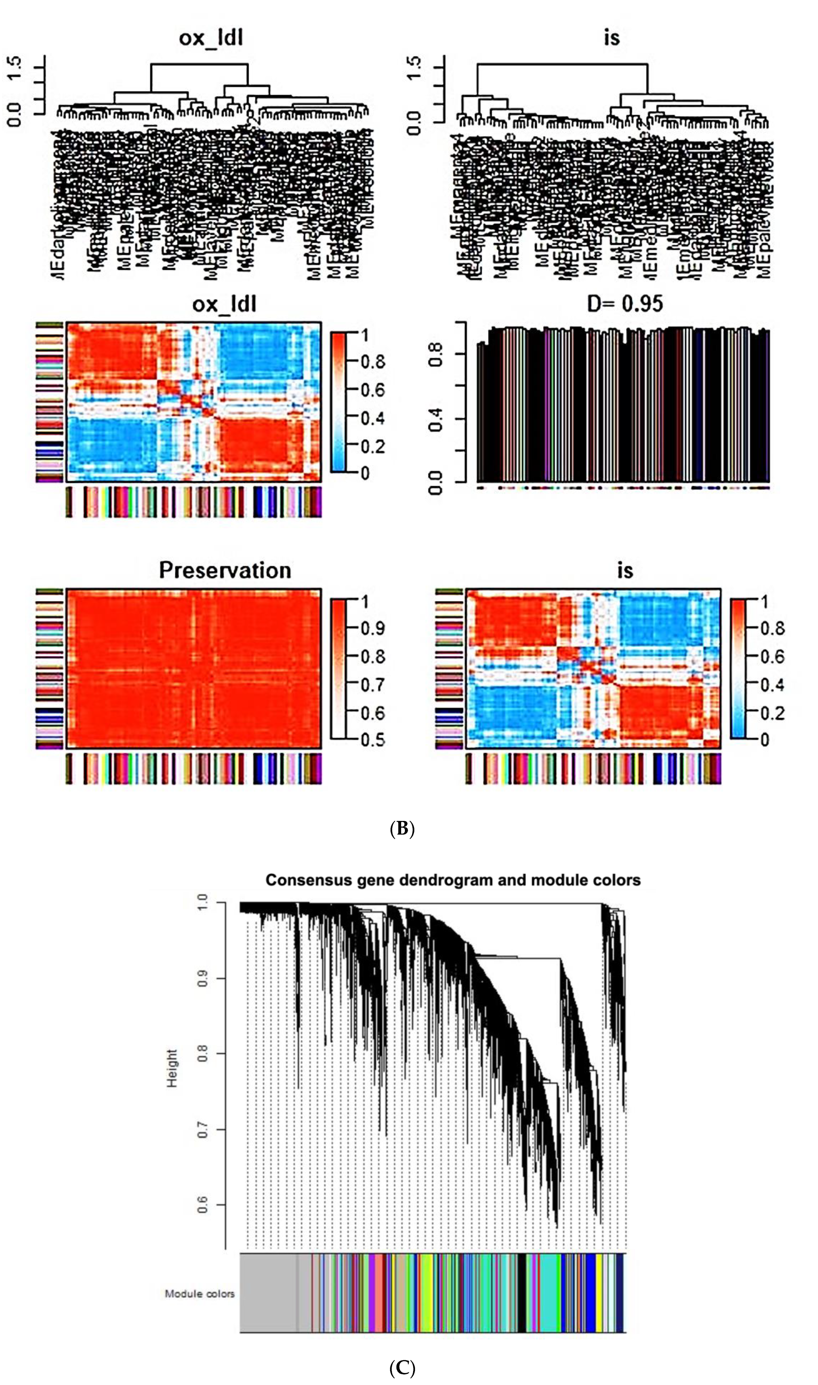 Ijms 21 05923 g008b Ijms 21 05923 g008b