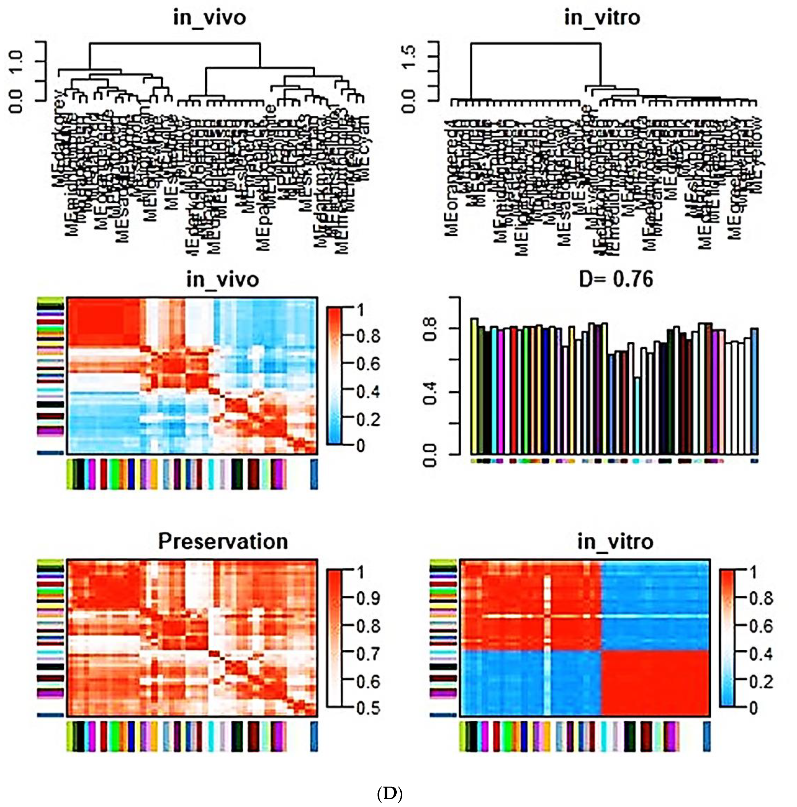 Ijms 21 05923 g008c Ijms 21 05923 g008c