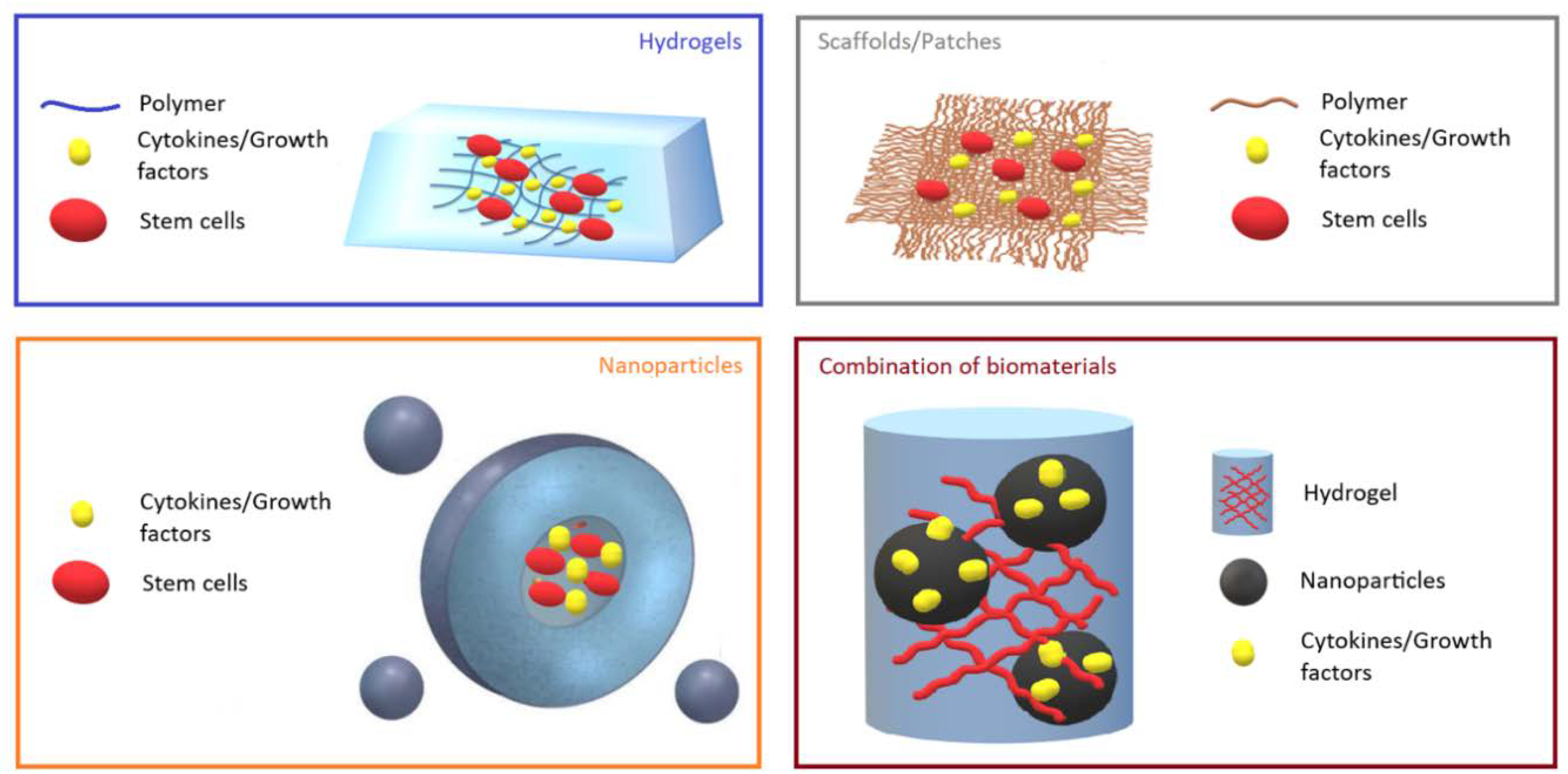 Ijms 21 05952 g001 Ijms 21 05952 g001
