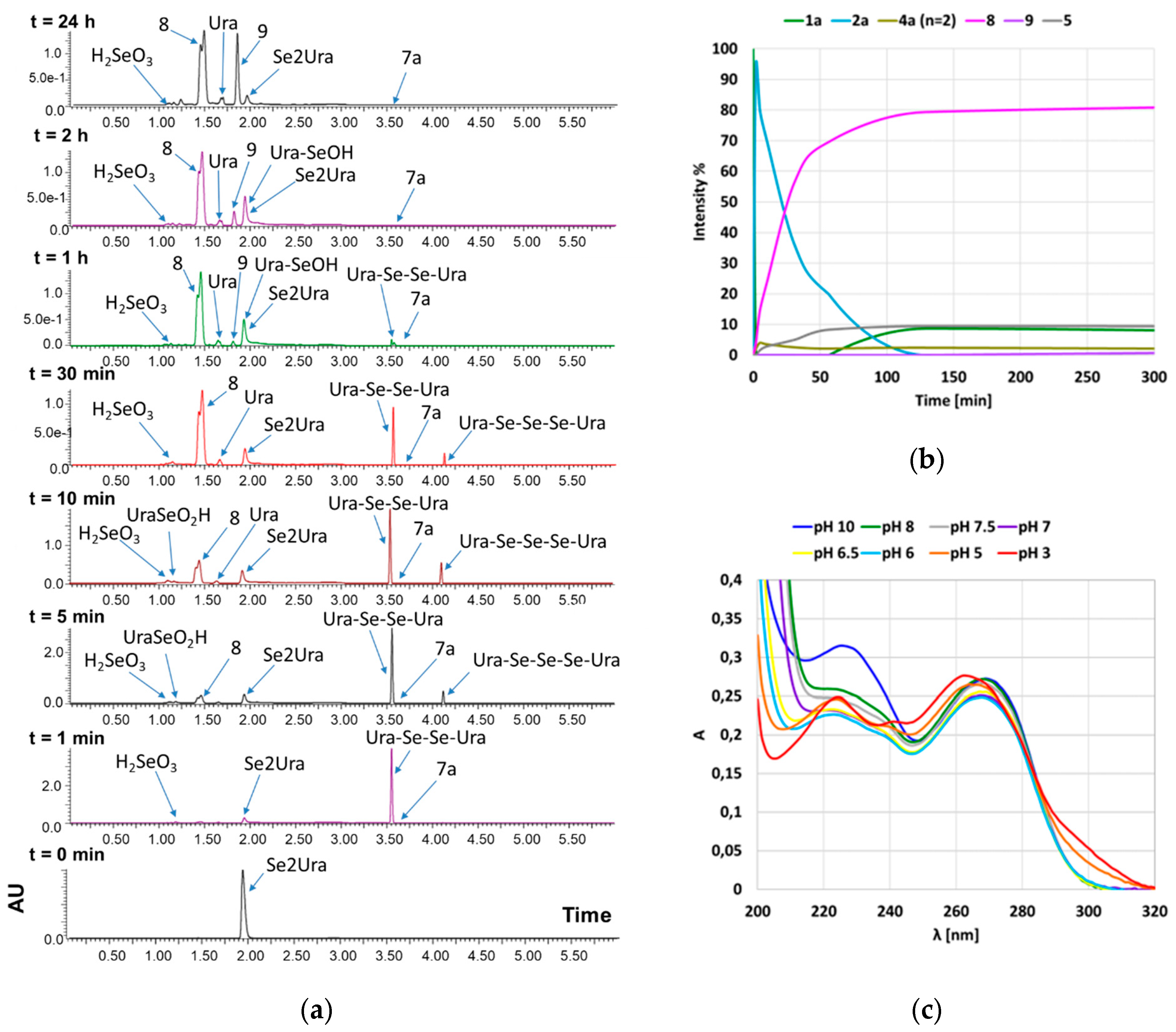 Ijms 21 05956 g002 Ijms 21 05956 g002
