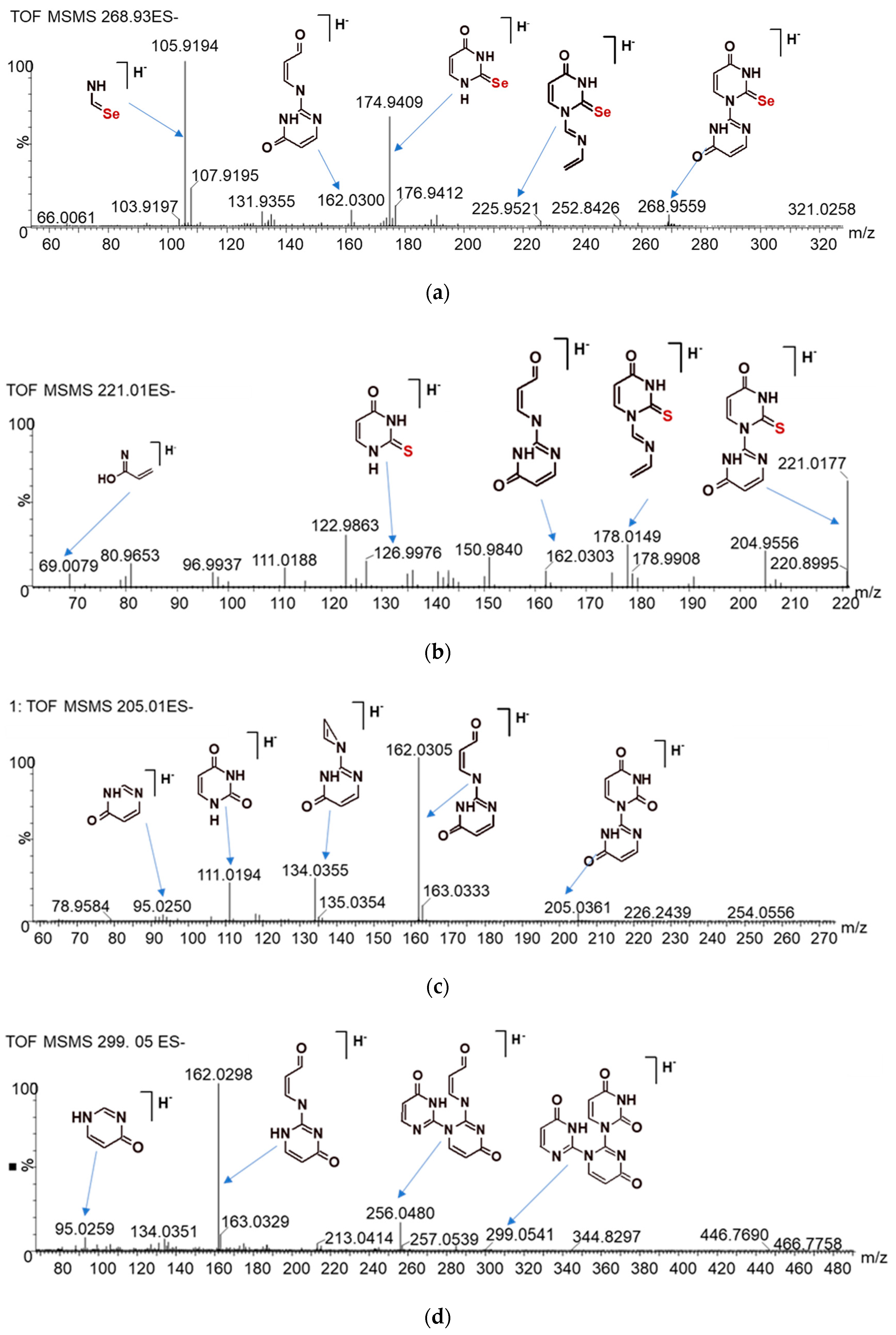 Ijms 21 05956 g003 Ijms 21 05956 g003