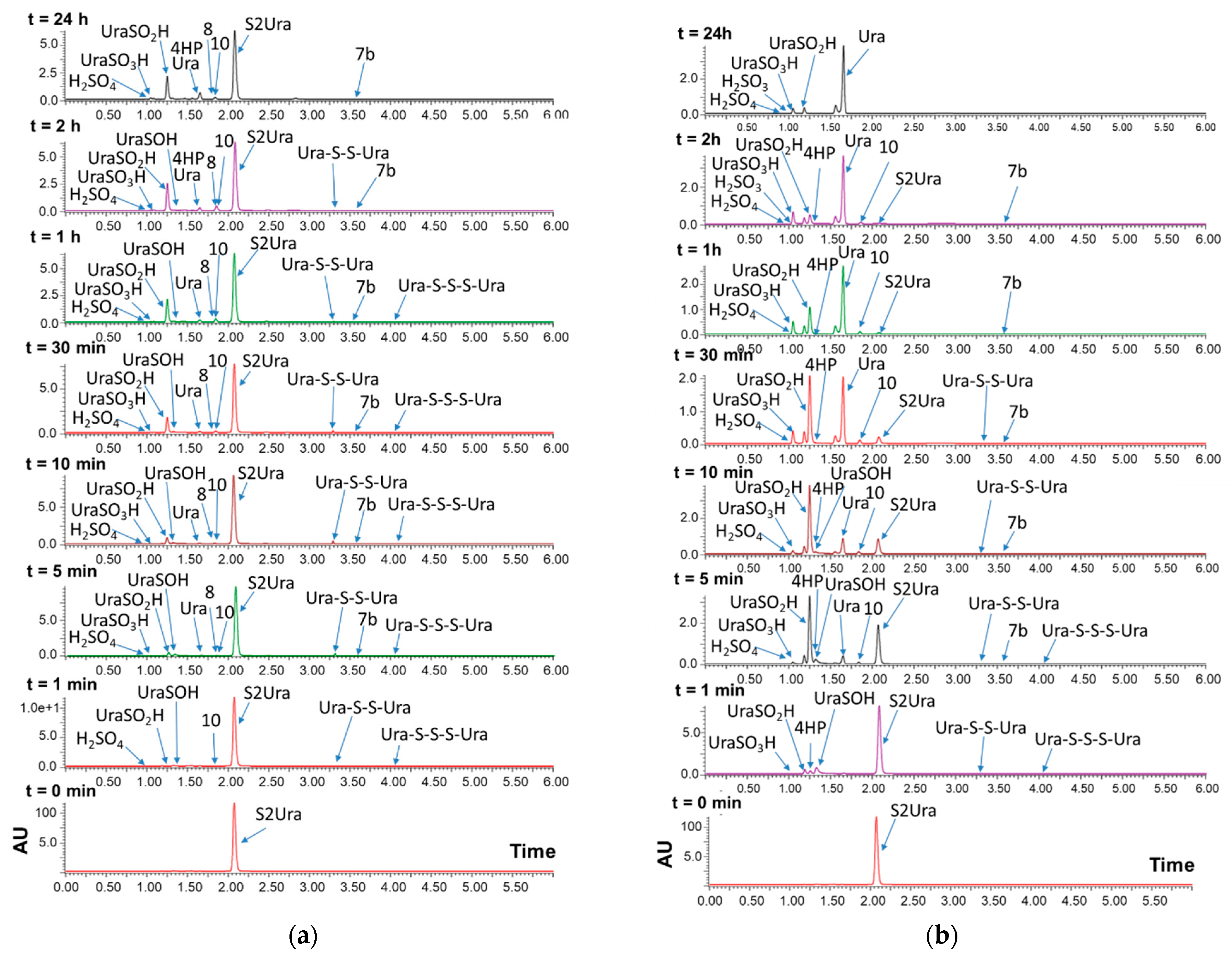 Ijms 21 05956 g007 Ijms 21 05956 g007