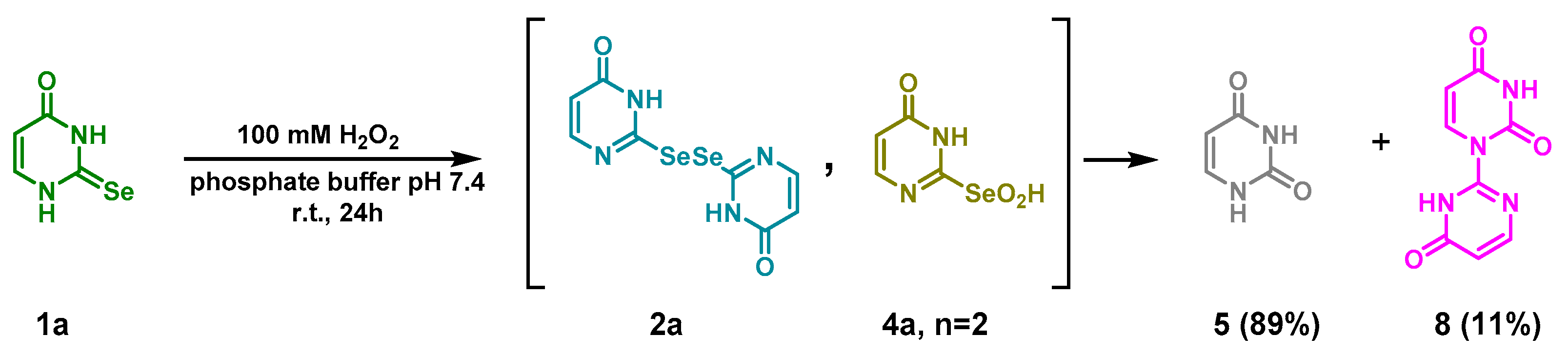 Ijms 21 05956 sch003 Ijms 21 05956 sch003