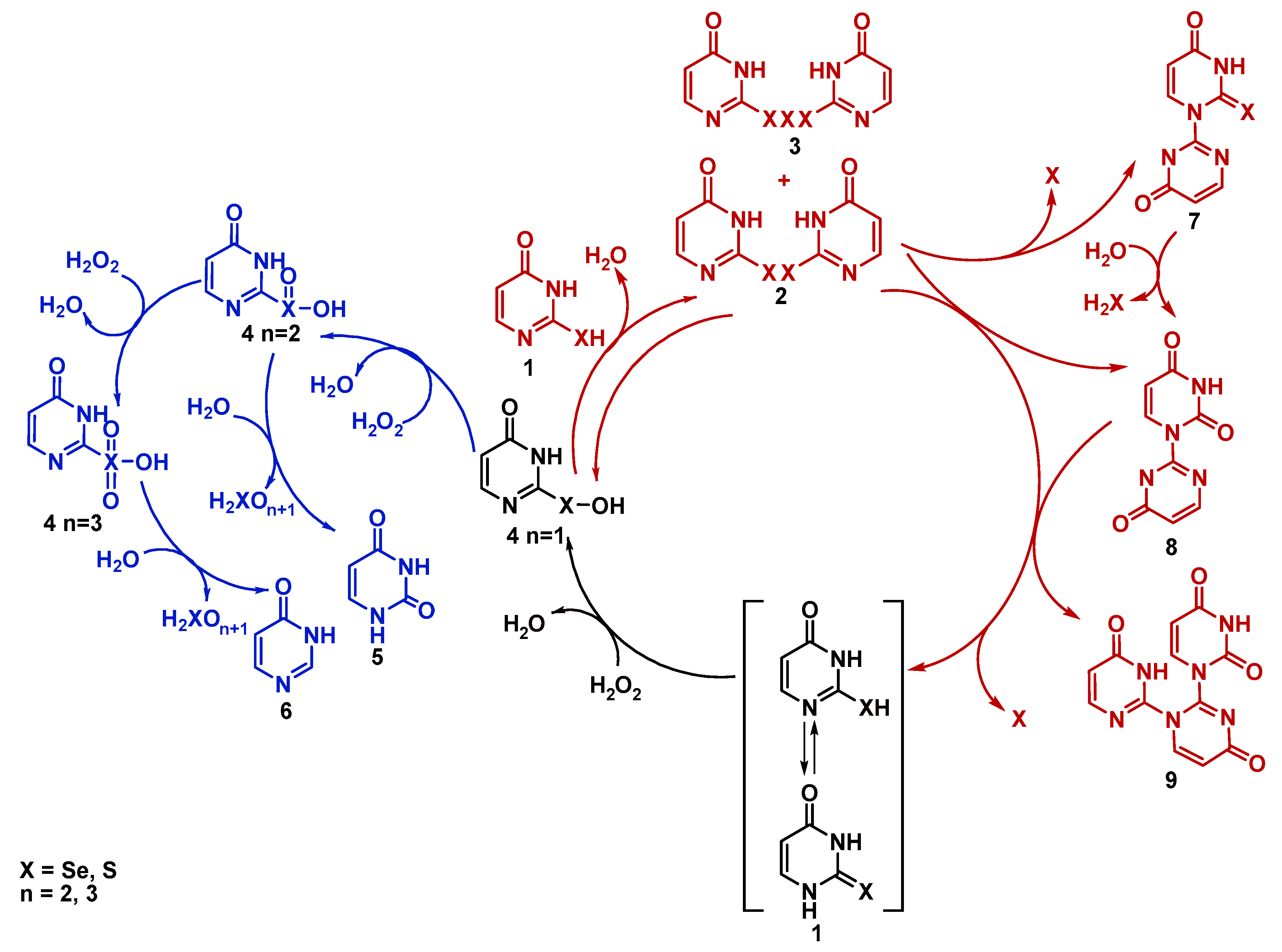 Ijms 21 05956 sch006 Ijms 21 05956 sch006