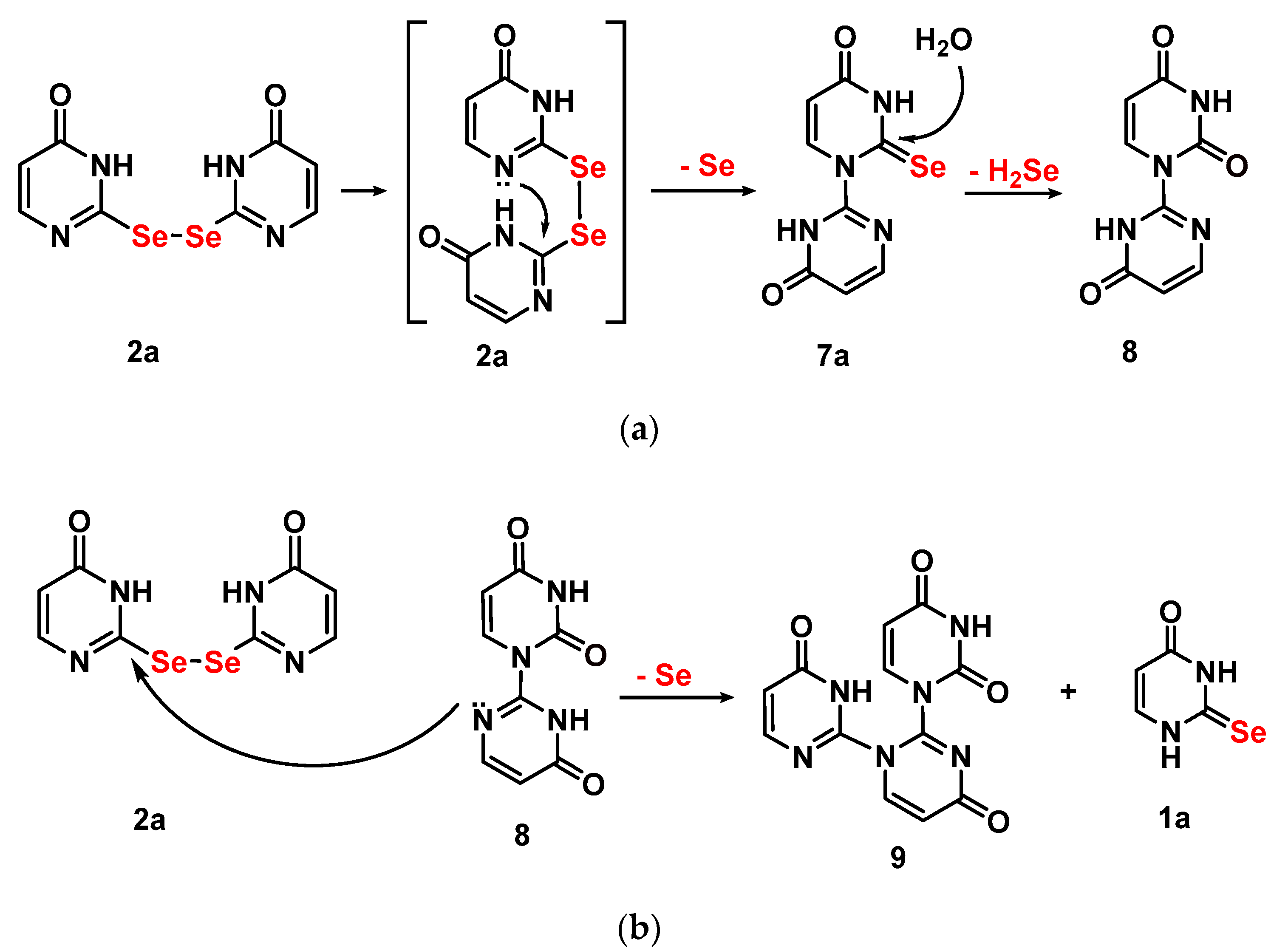 Ijms 21 05956 sch008 Ijms 21 05956 sch008