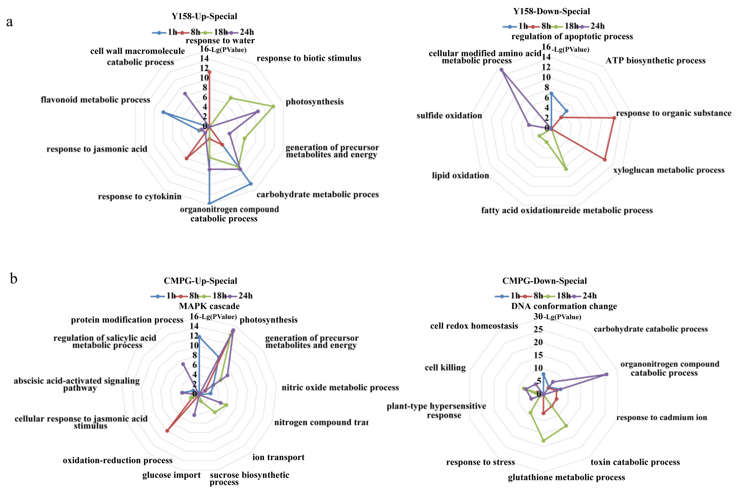 Ijms 21 05967 g002 Ijms 21 05967 g002