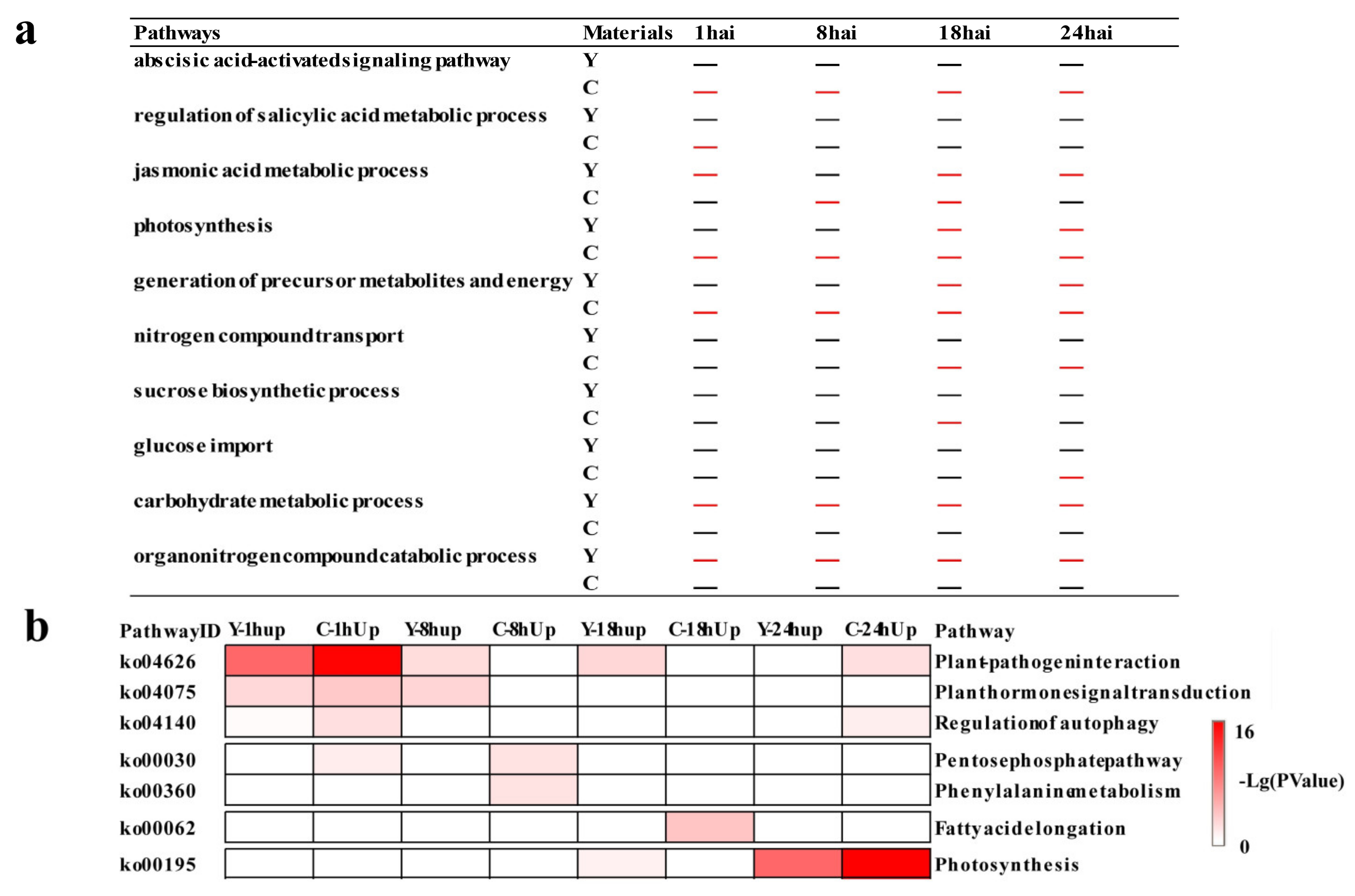 Ijms 21 05967 g003 Ijms 21 05967 g003