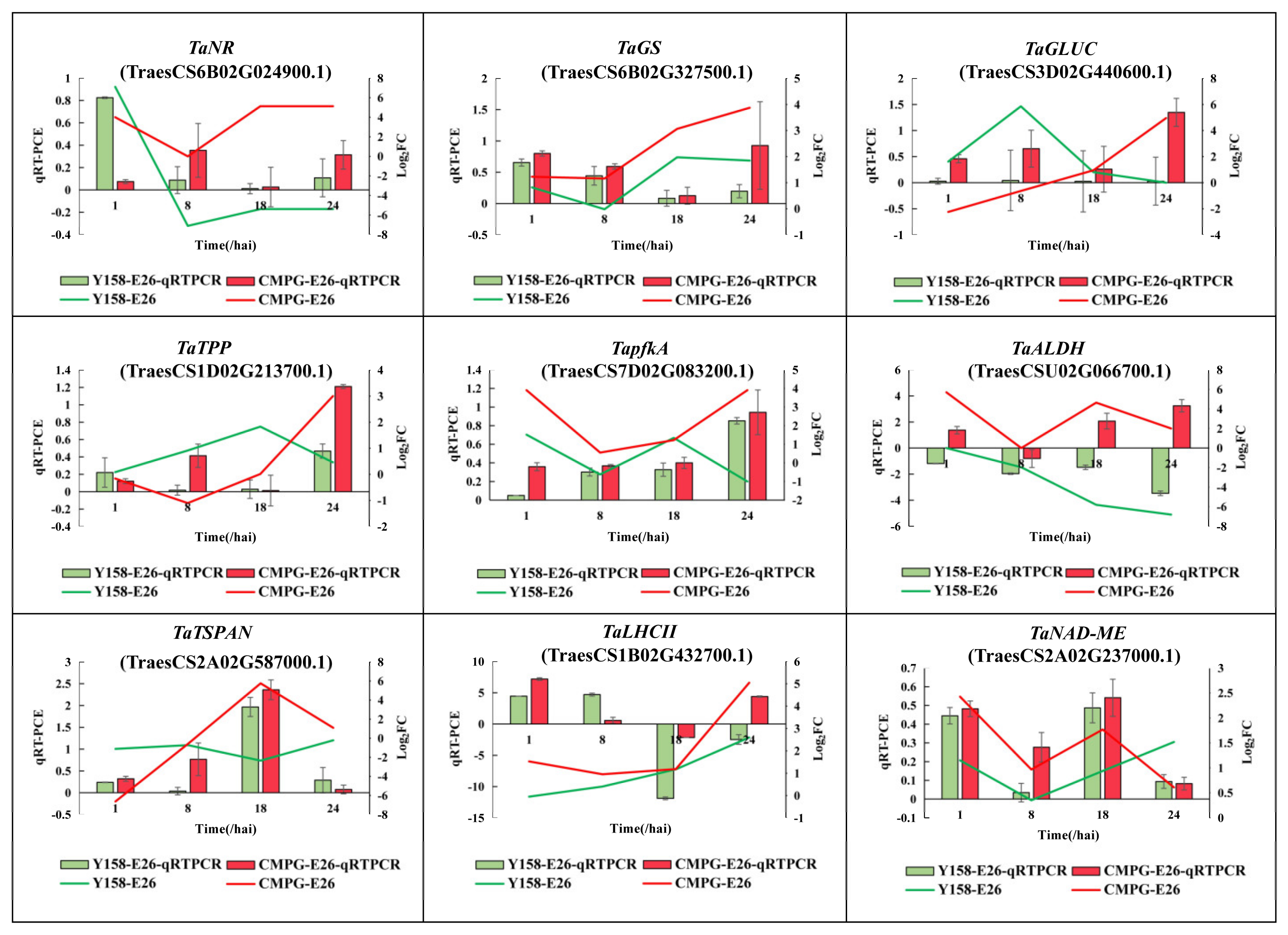 Ijms 21 05967 g007 Ijms 21 05967 g007