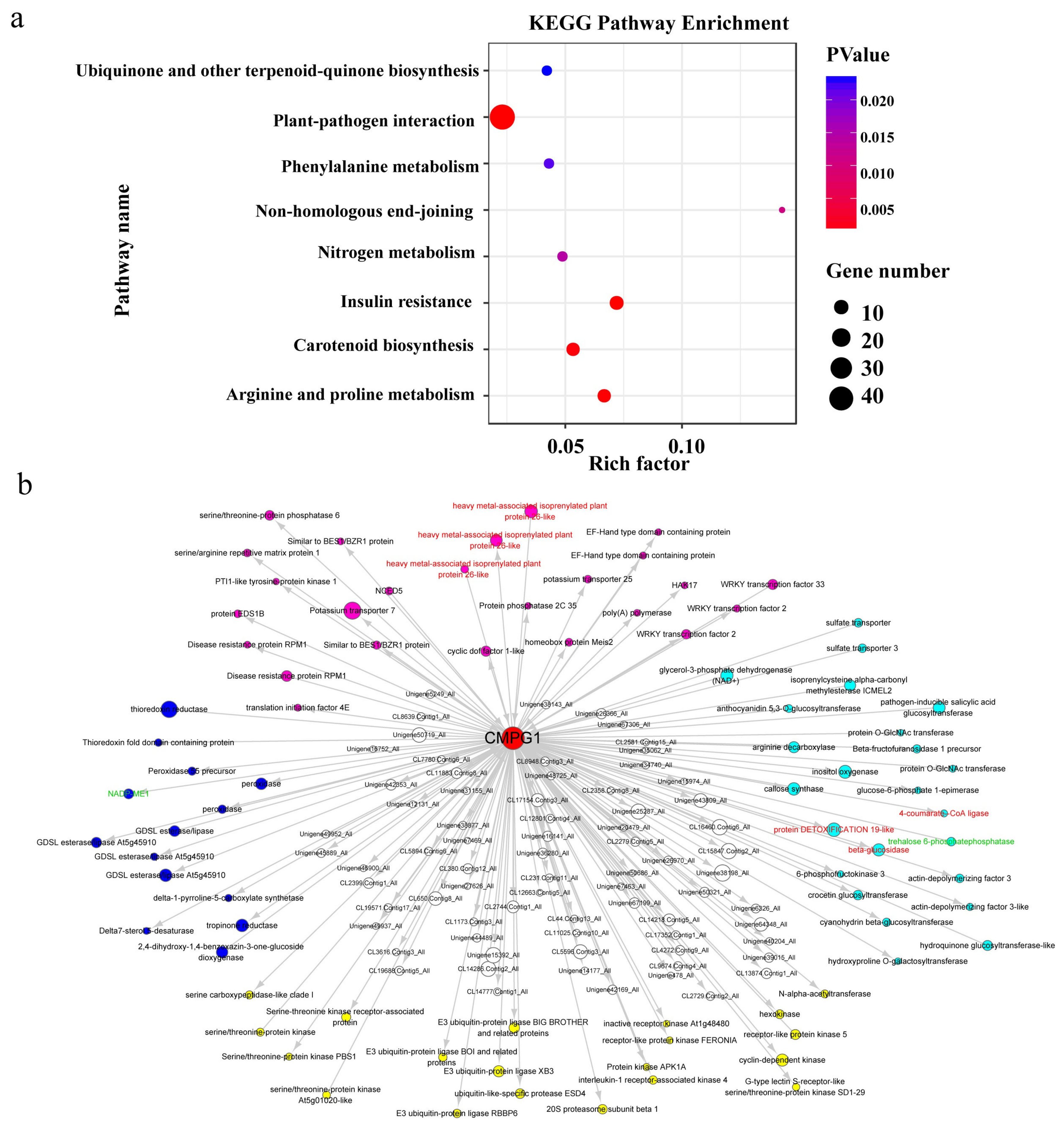 Ijms 21 05967 g008 Ijms 21 05967 g008
