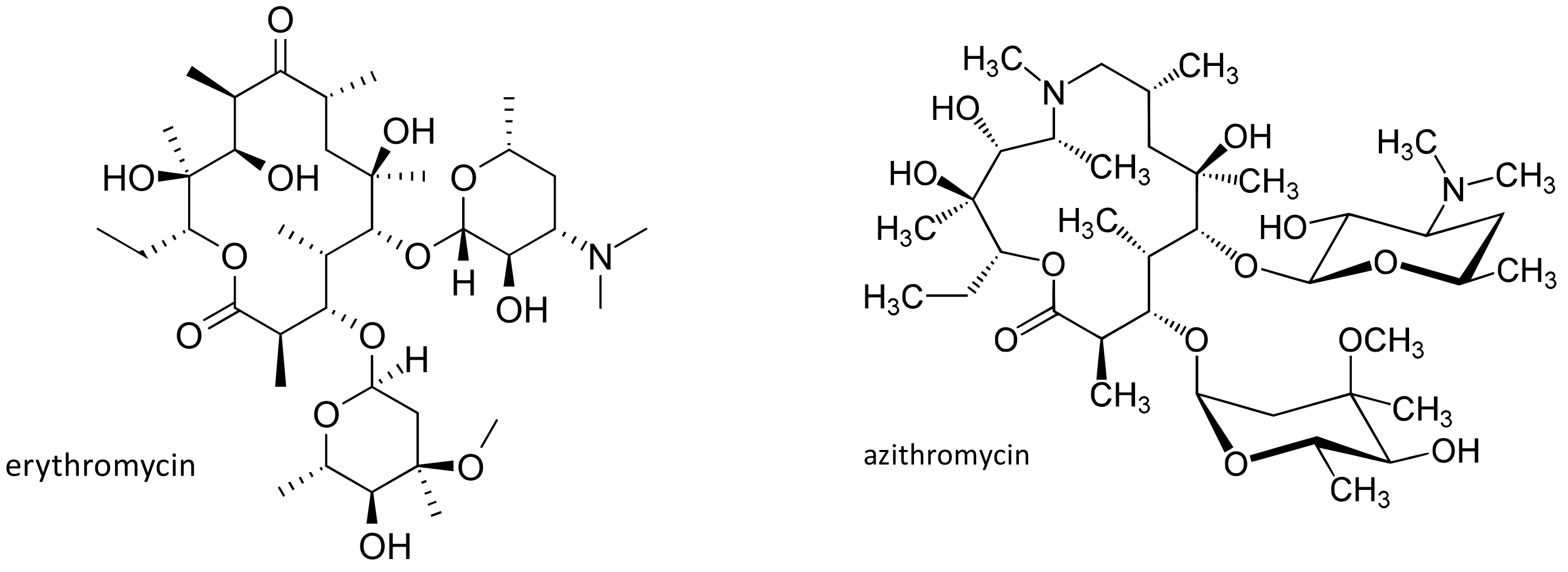 Ijms 21 05975 g005 Ijms 21 05975 g005