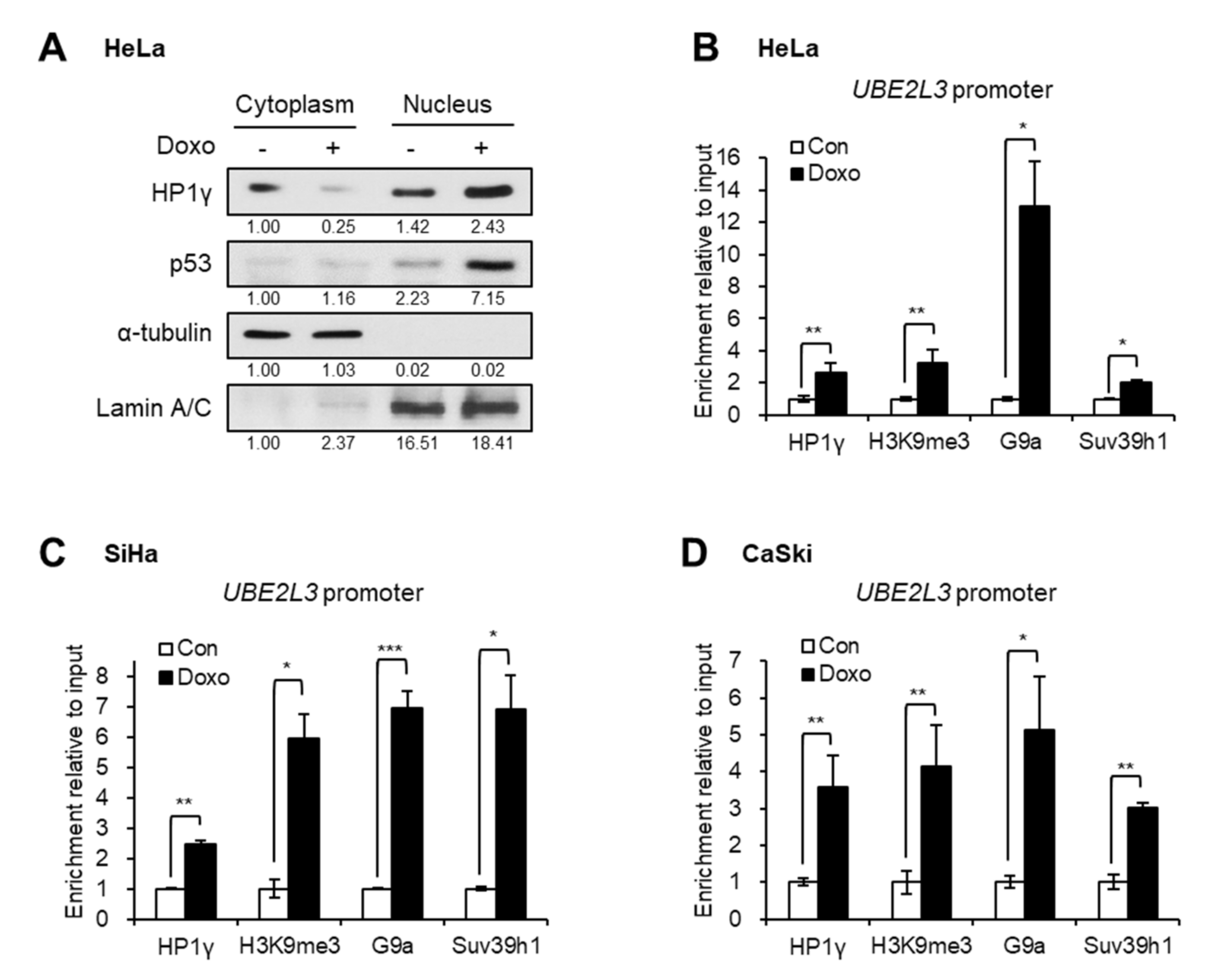 Ijms 21 05976 g005 Ijms 21 05976 g005