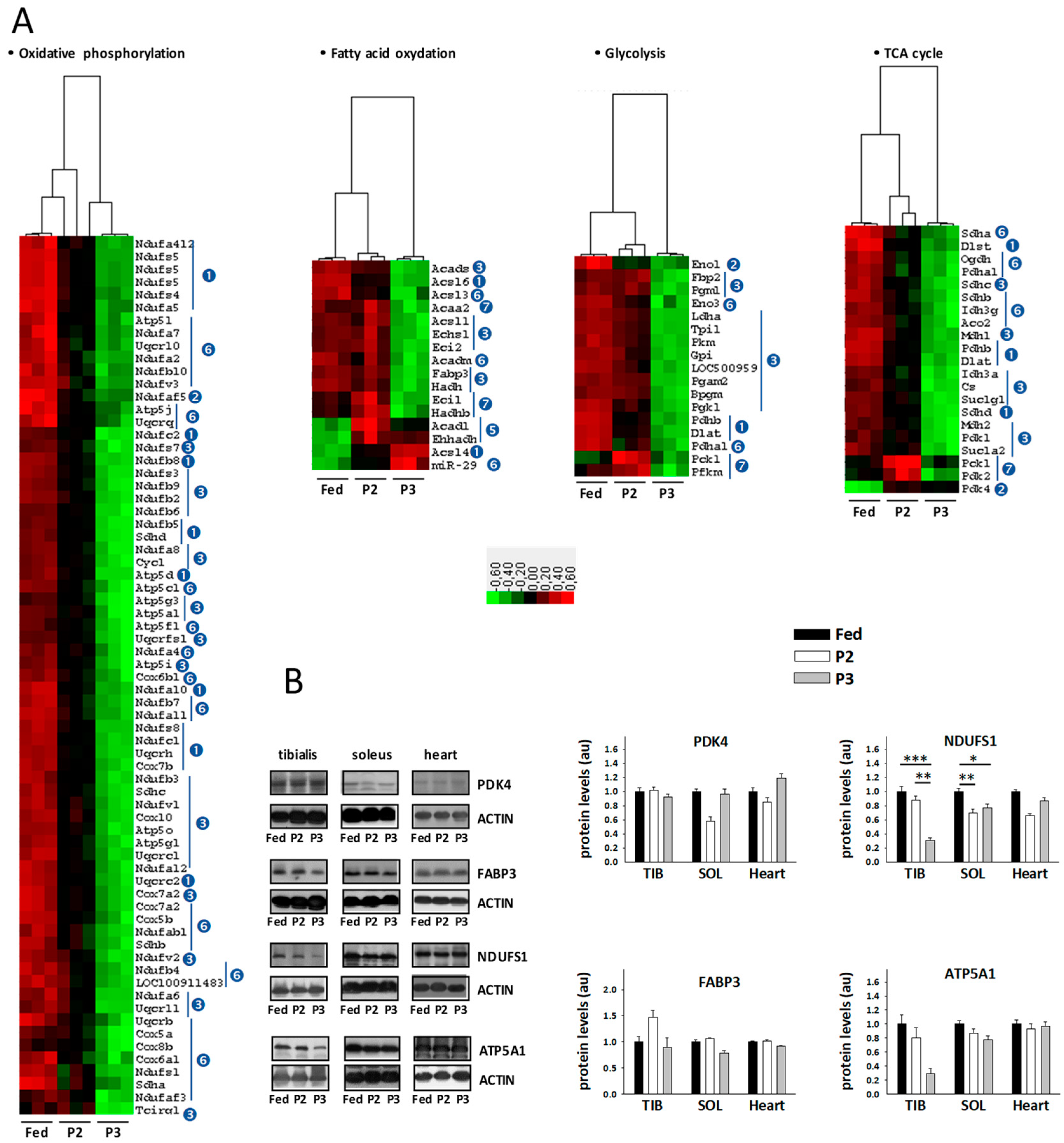Ijms 21 05984 g004 Ijms 21 05984 g004
