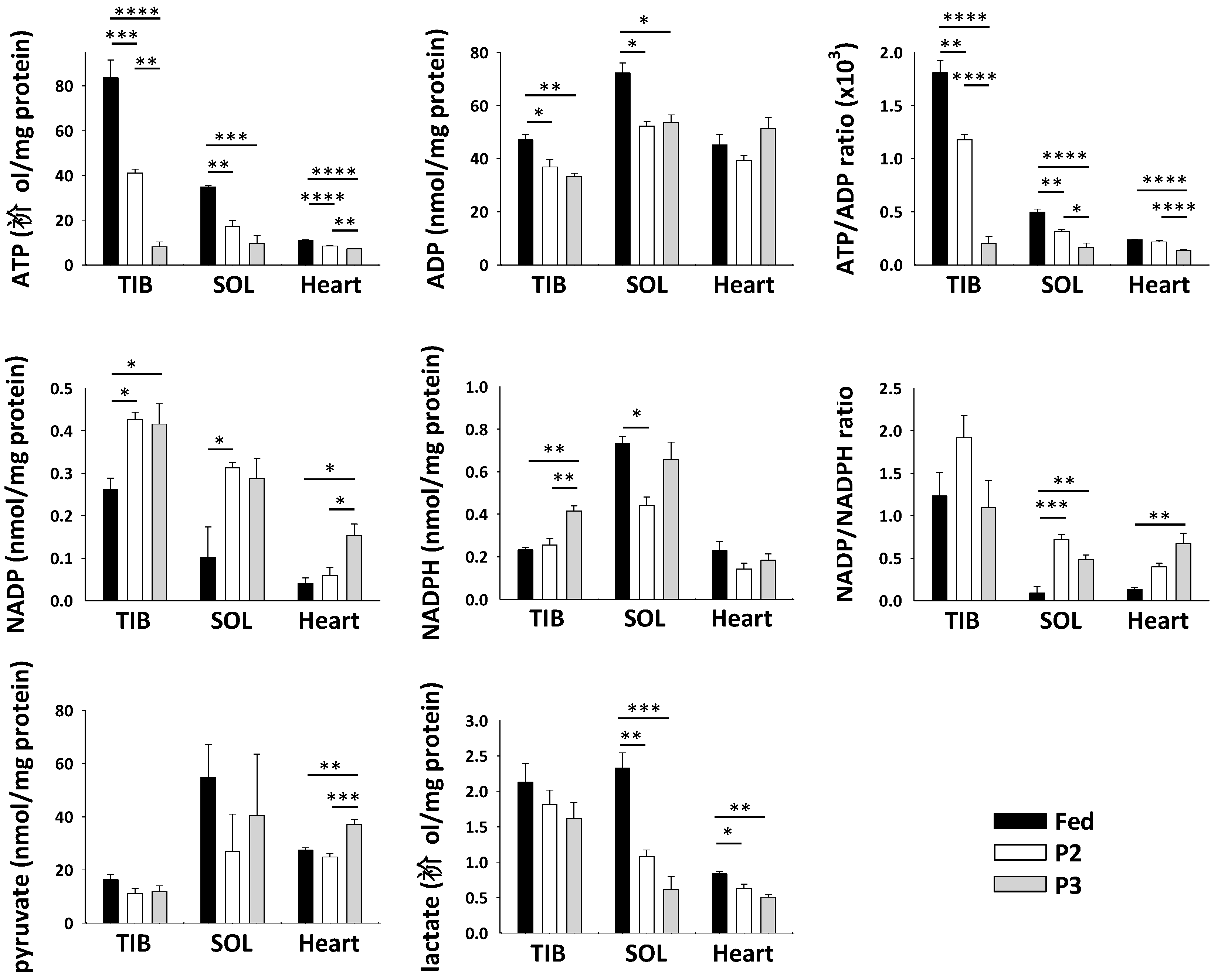 Ijms 21 05984 g005 Ijms 21 05984 g005