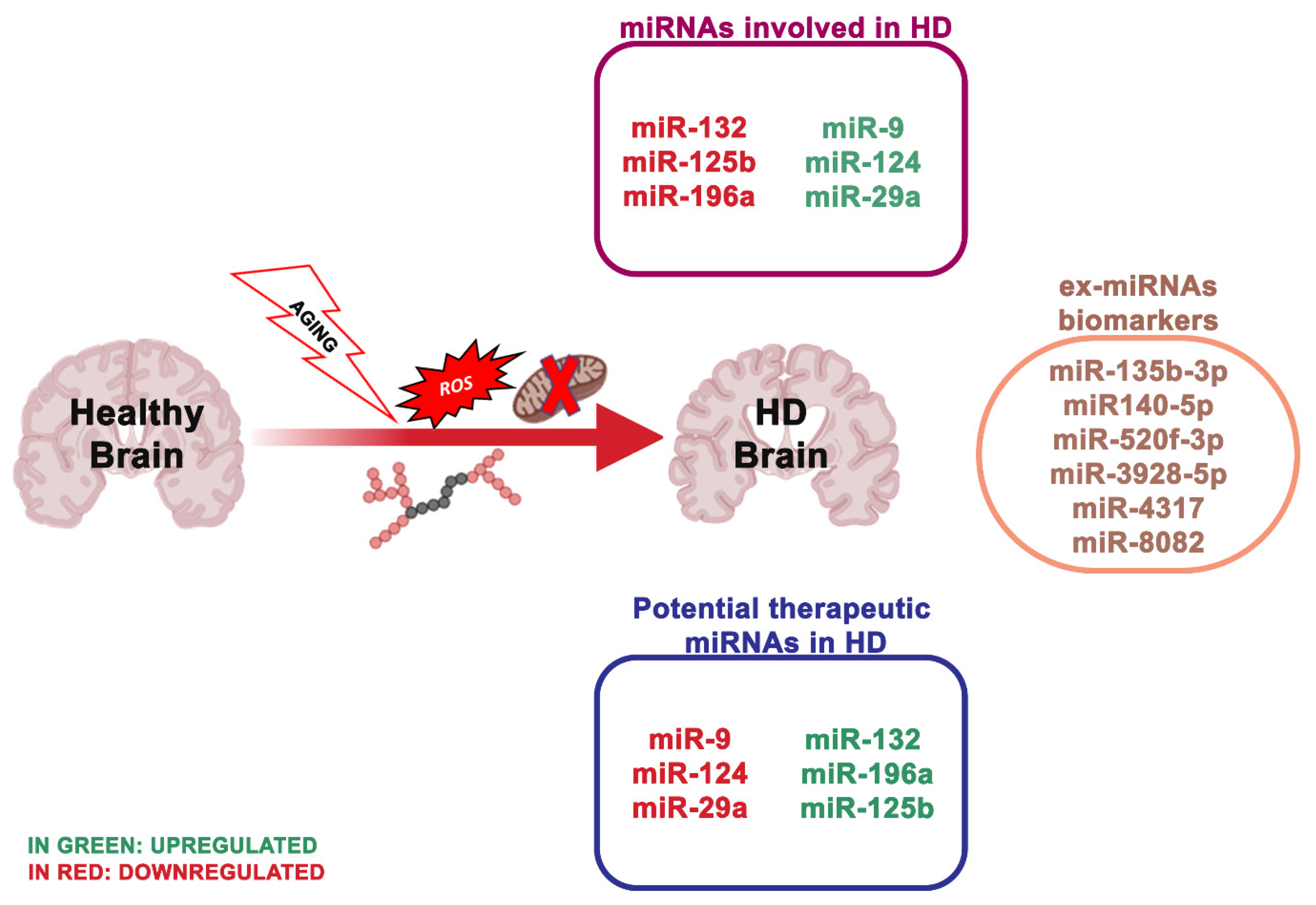 Ijms 21 05986 g003 Ijms 21 05986 g003