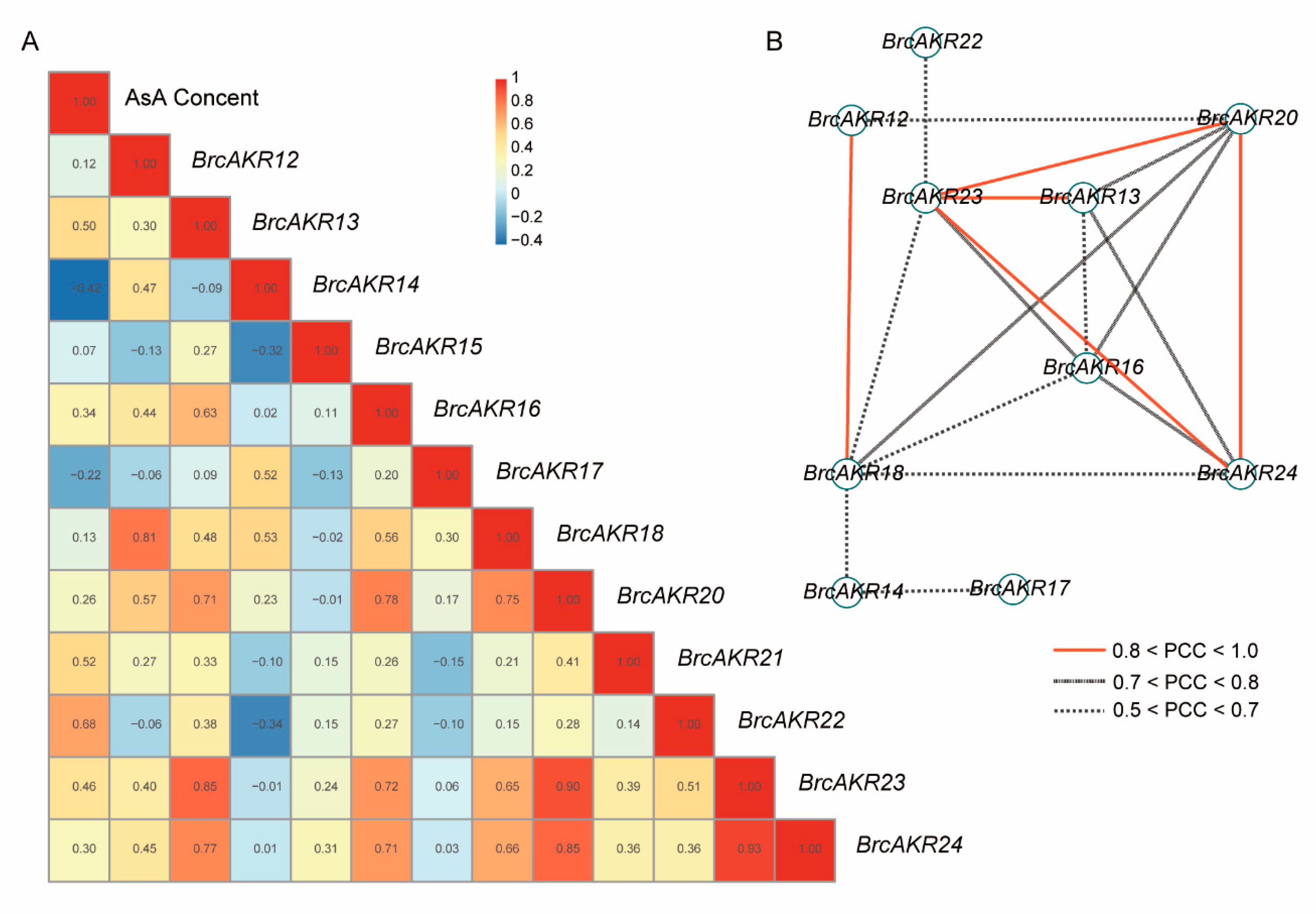 Ijms 21 05987 g006 Ijms 21 05987 g006
