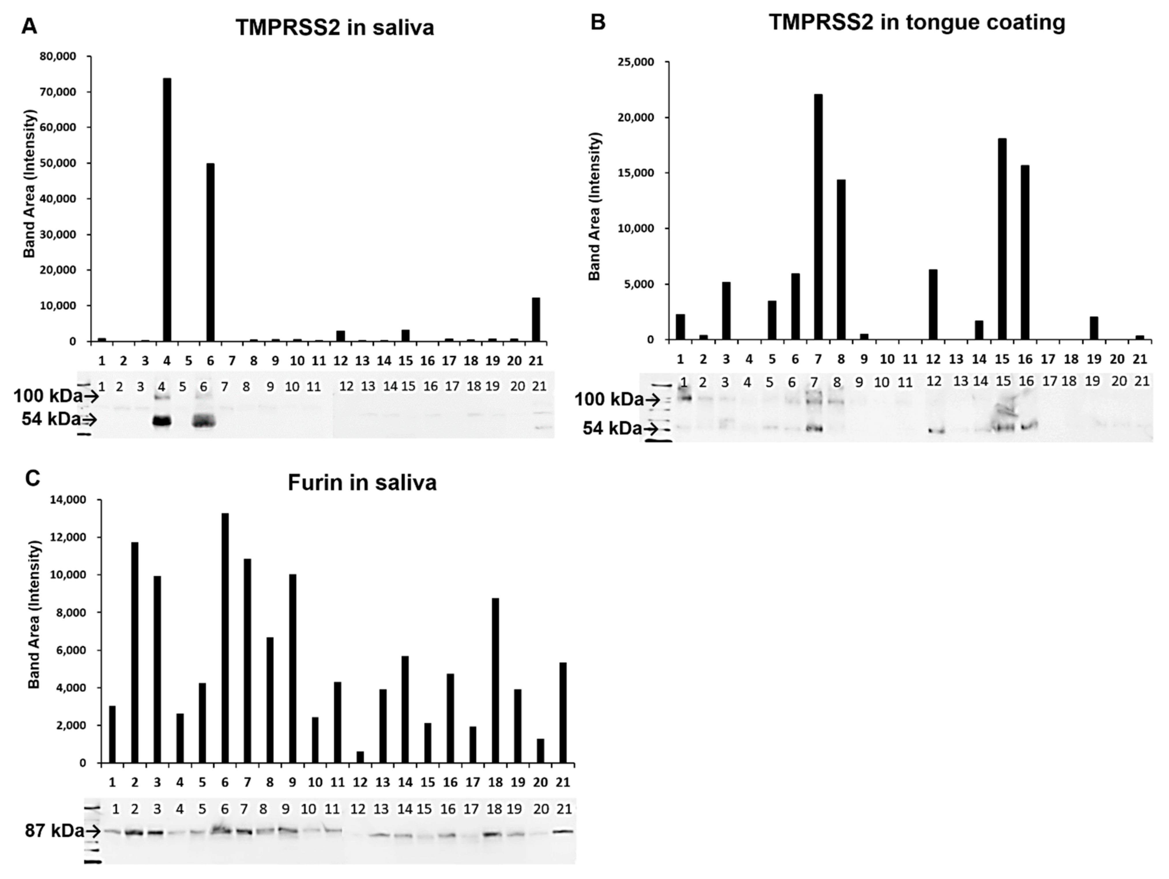 Ijms 21 06000 g005 Ijms 21 06000 g005
