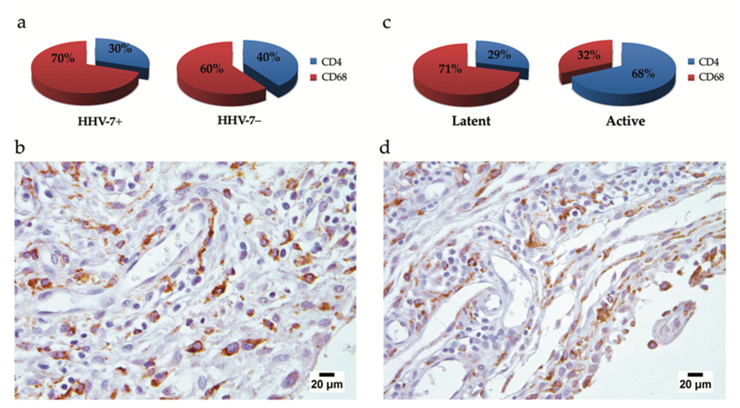 Ijms 21 06004 g005 Ijms 21 06004 g005