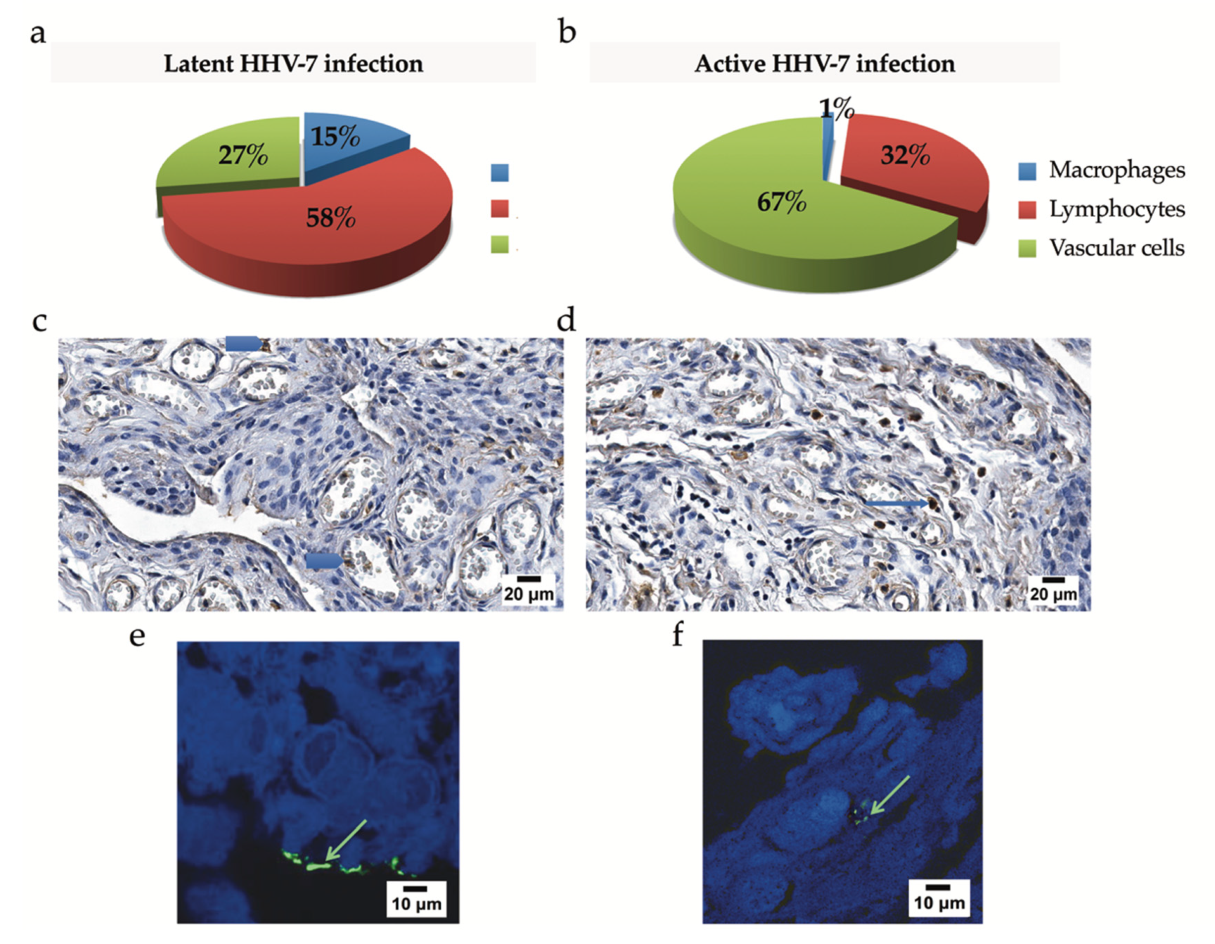 Ijms 21 06004 g007 Ijms 21 06004 g007