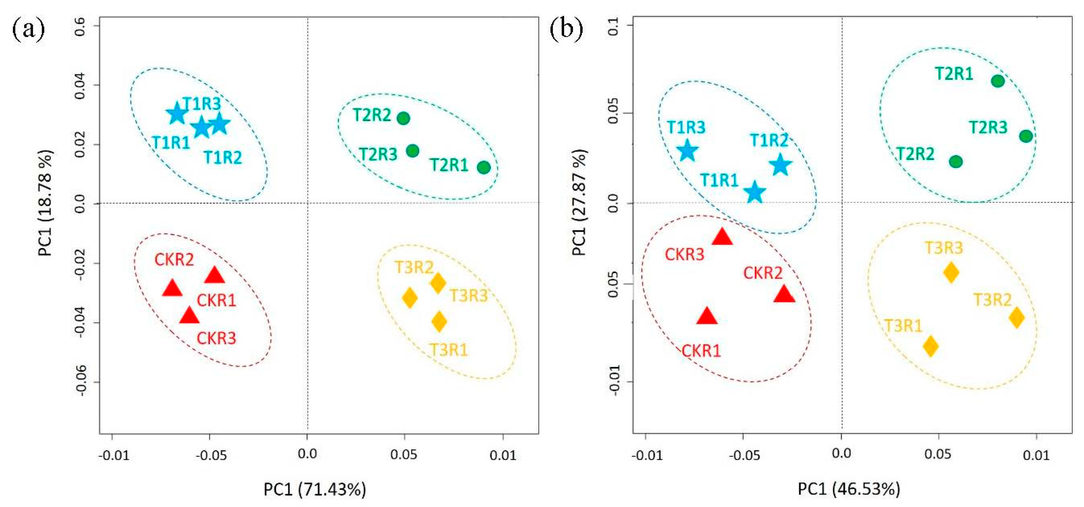 Ijms 21 06008 g005 Ijms 21 06008 g005
