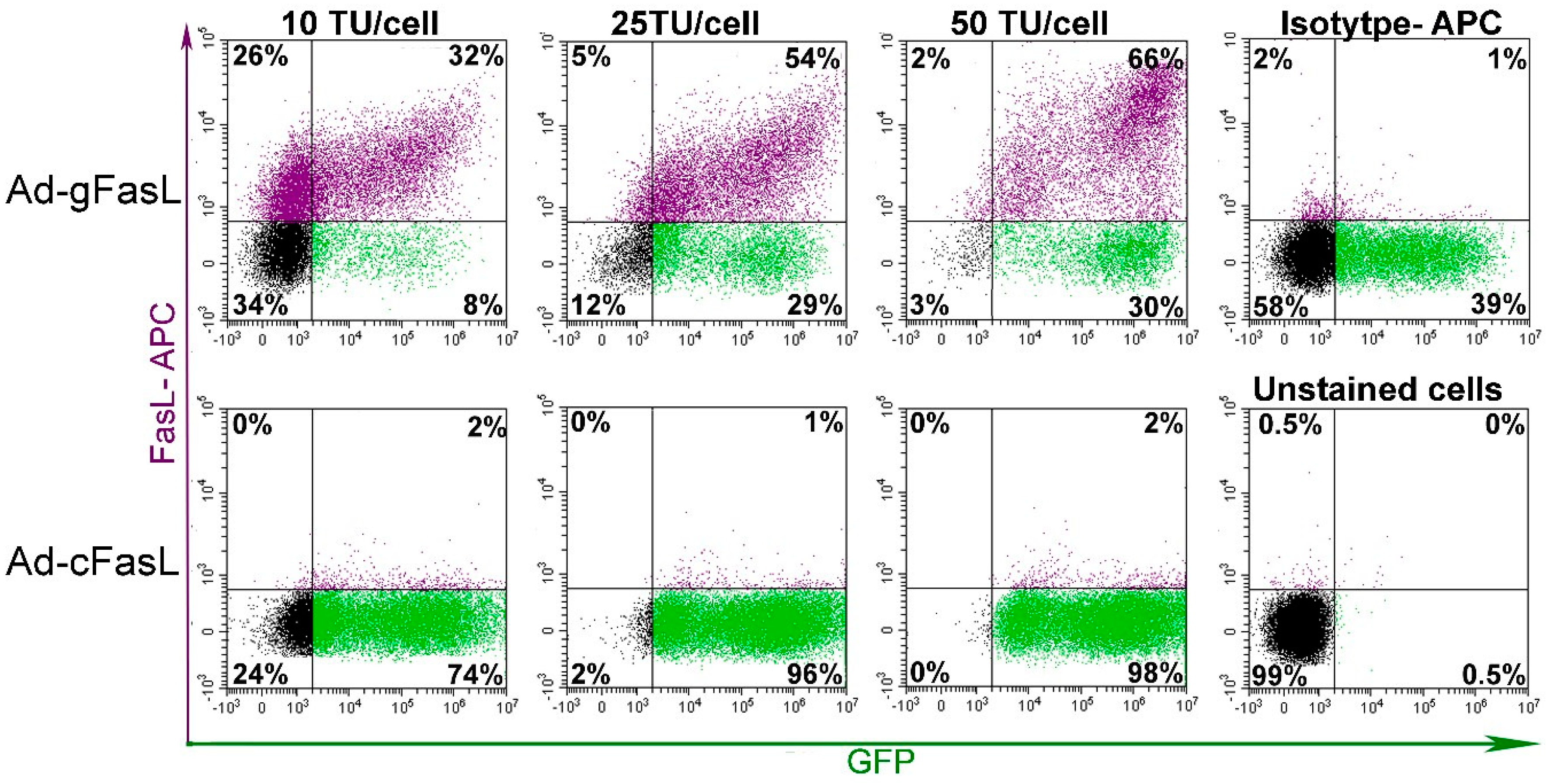 Ijms 21 06011 g003 Ijms 21 06011 g003