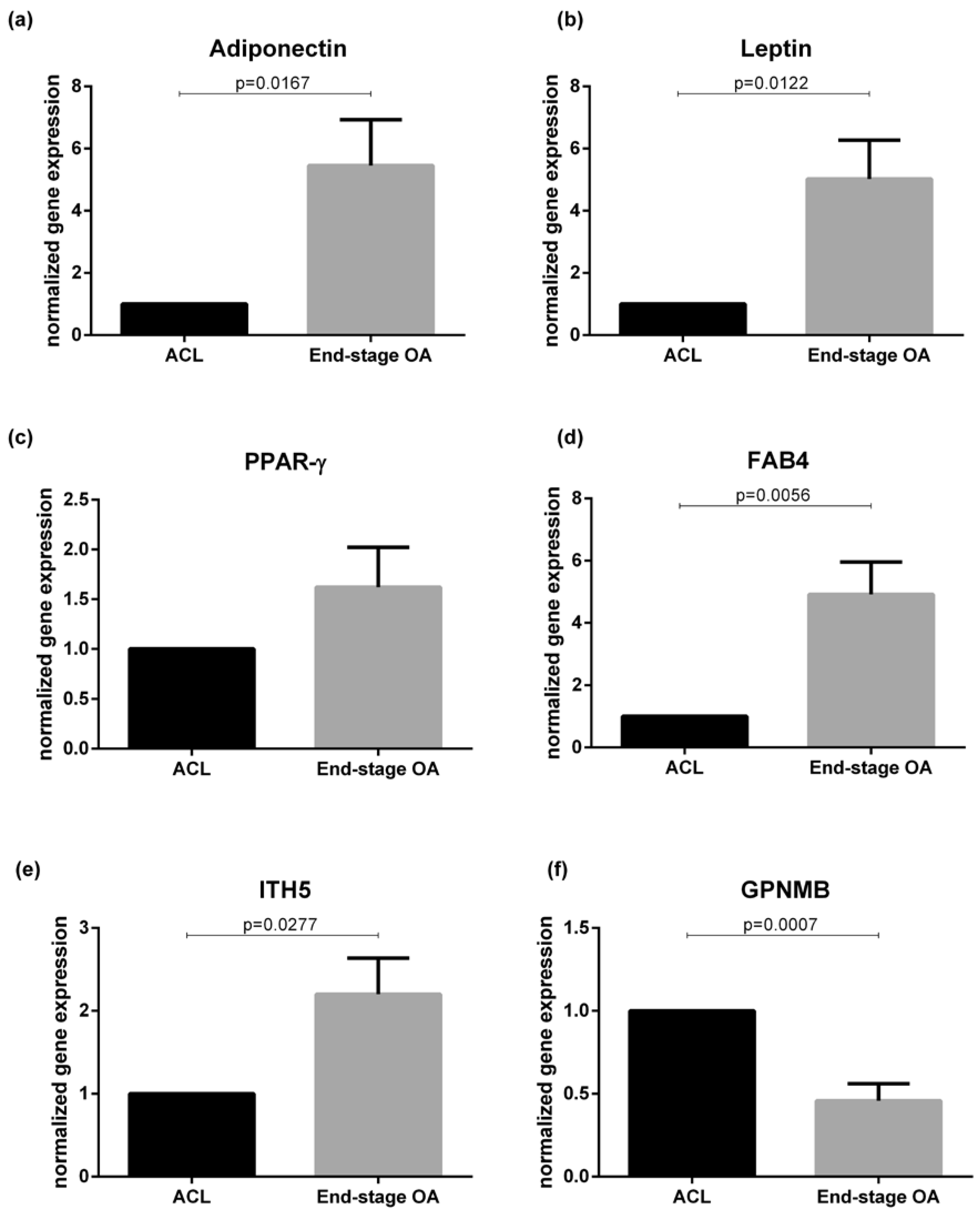 Ijms Free Full Text Infrapatellar Fat Pad Gene Expression And Protein Production In Patients With And Without Osteoarthritis Html