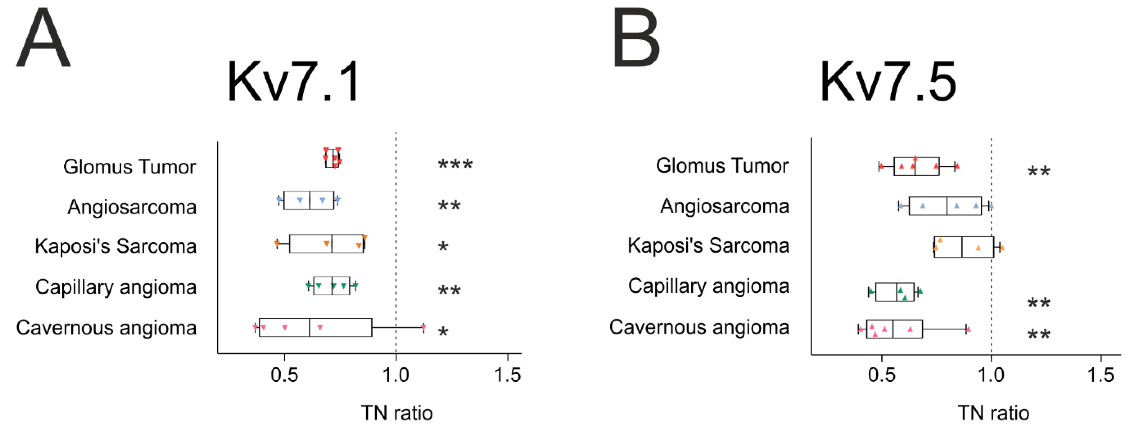 Ijms 21 06019 g003 Ijms 21 06019 g003